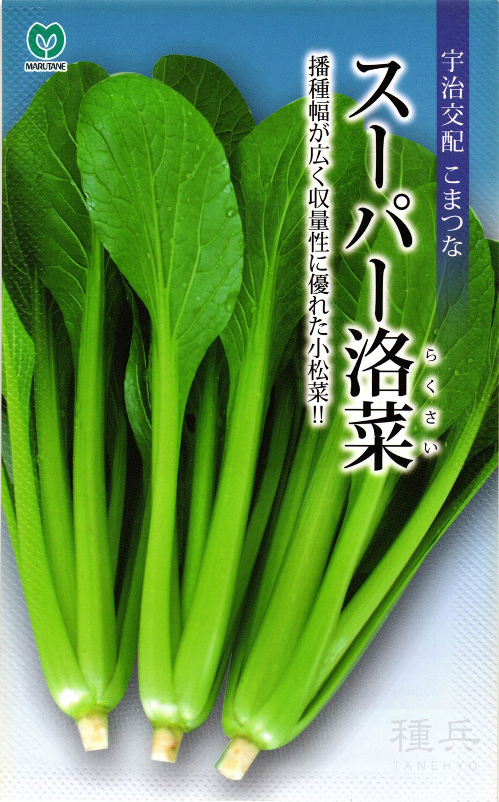 コマツナ 種 『スーパー洛菜』  丸種
