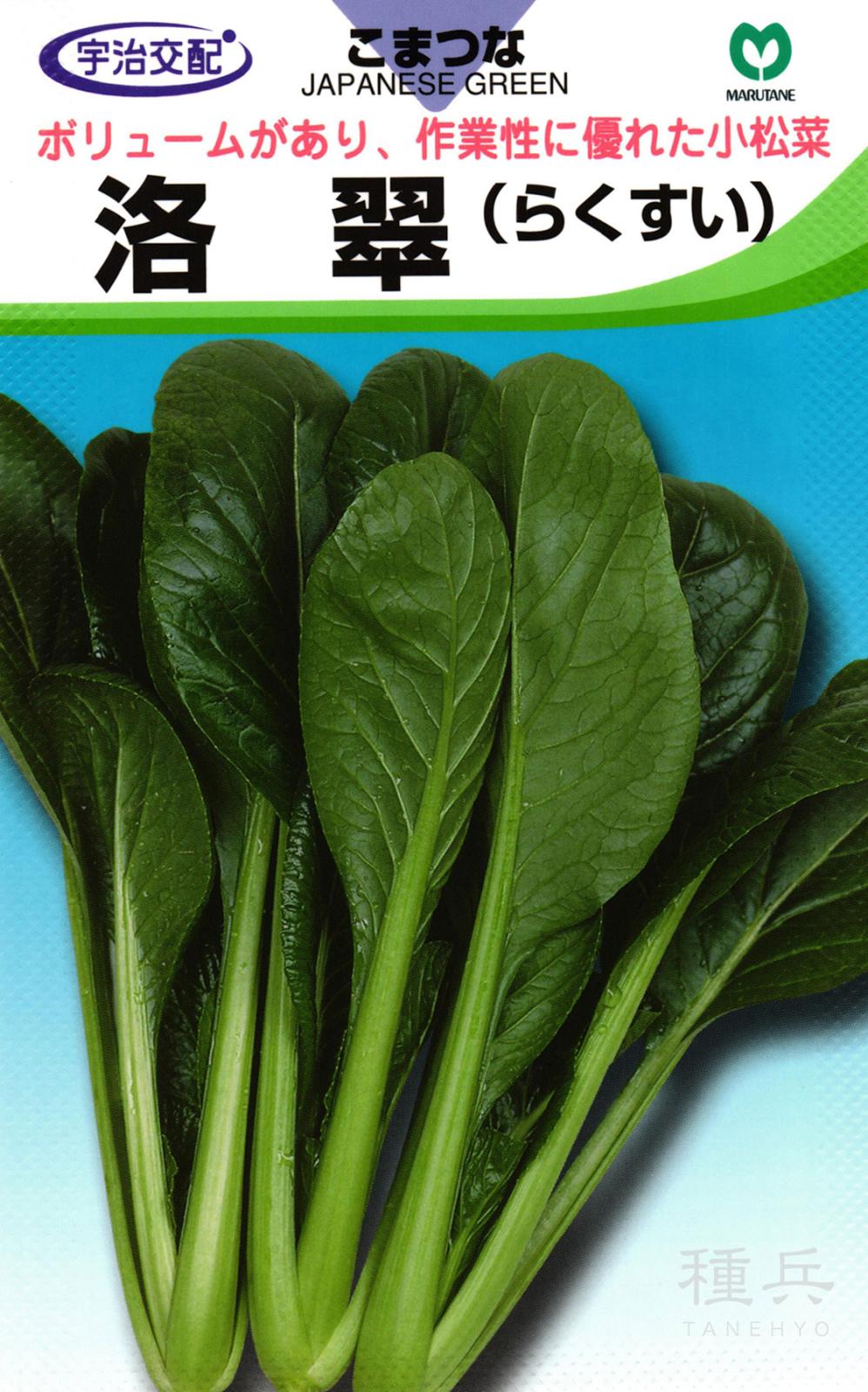 コマツナ 種 『洛翠小松菜』  丸種