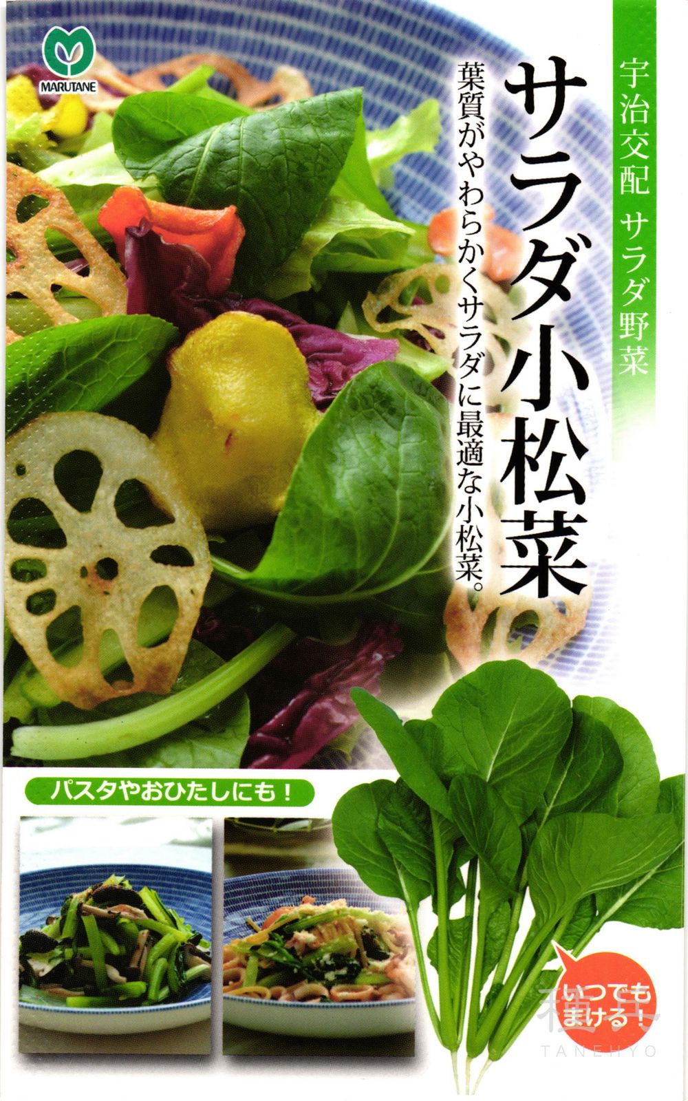 コマツナ 種 『サラダ小松菜』  丸種