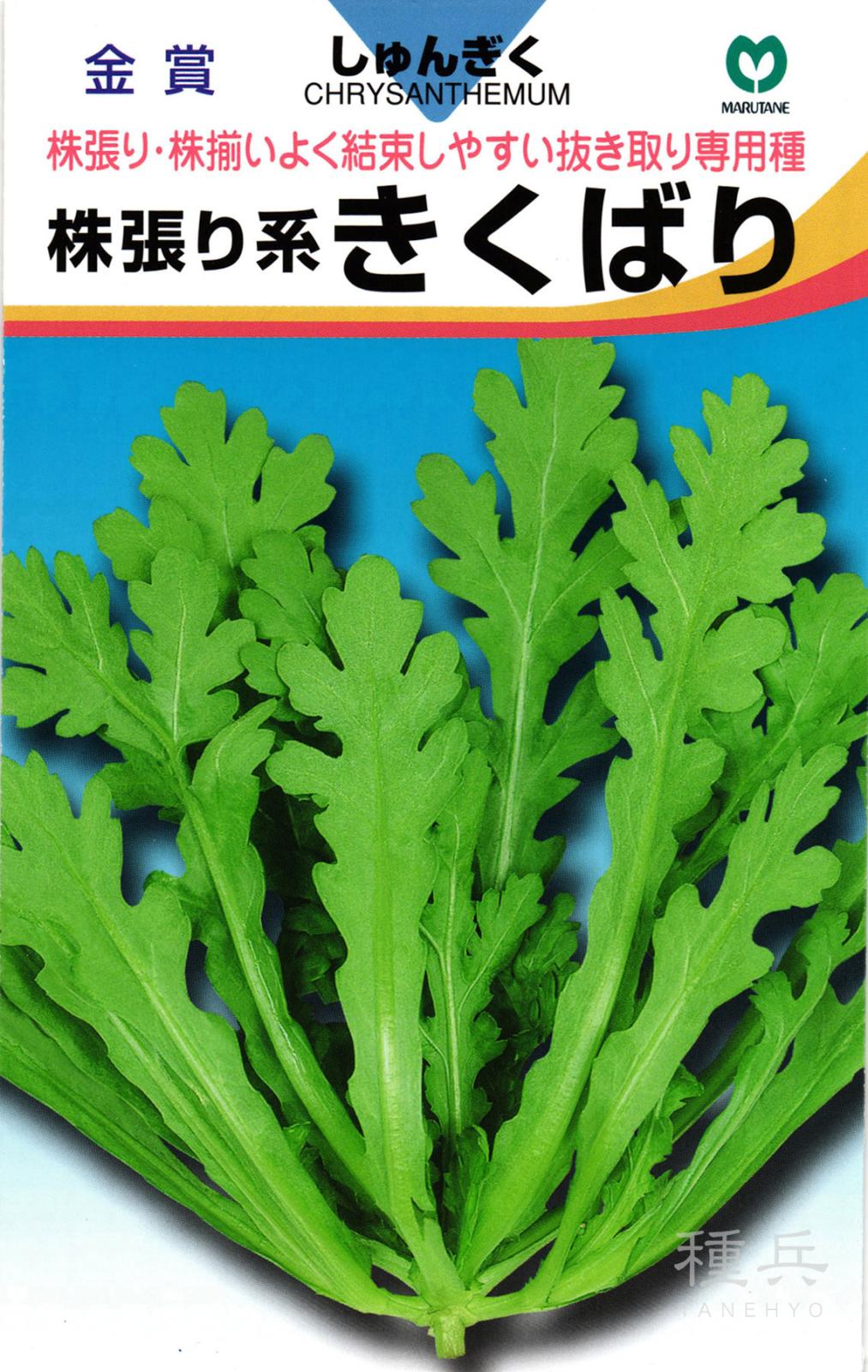 シュンギク 種 『きくばり』  丸種