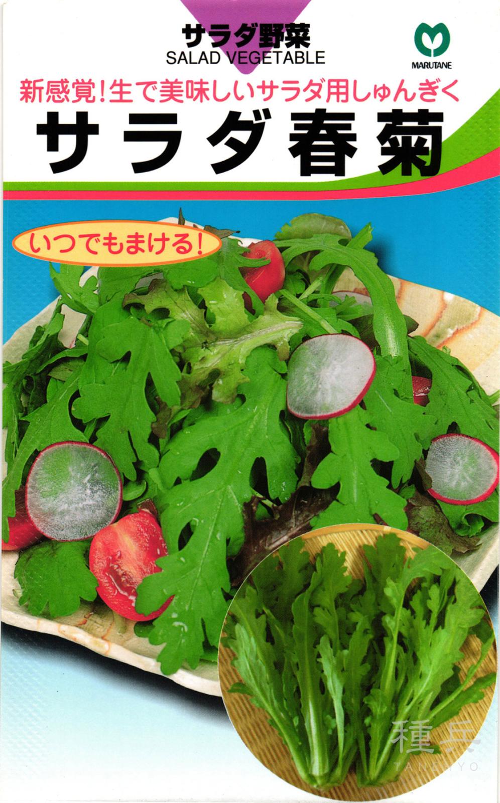シュンギク 種 『サラダ春菊』  丸種