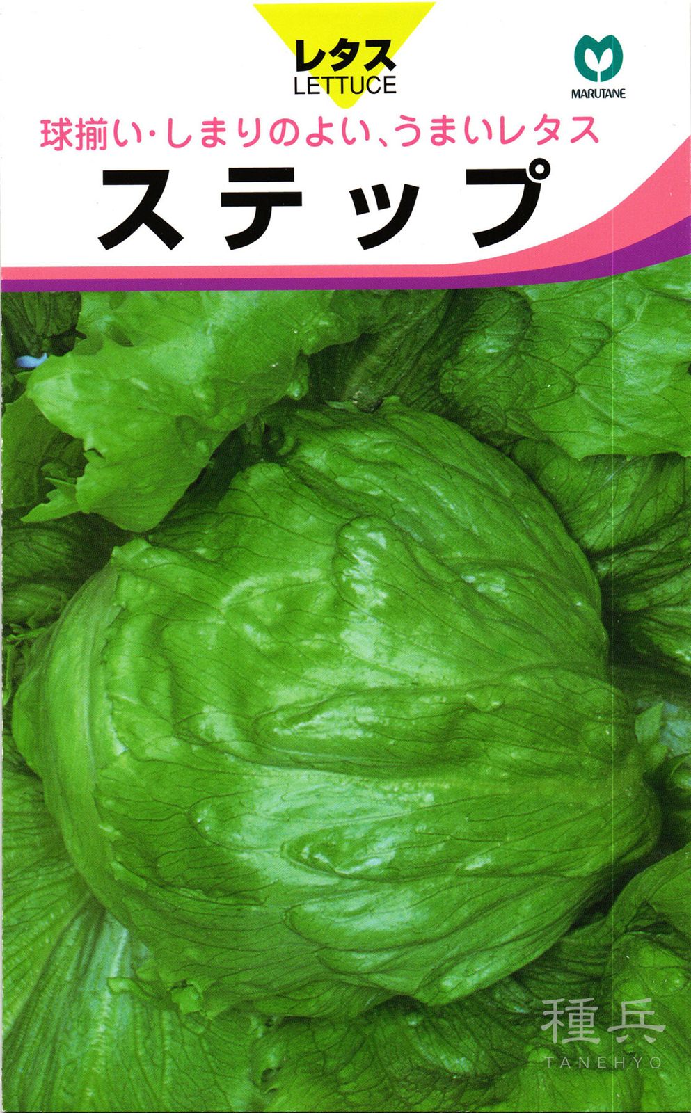 玉レタス 種 『ステップ』  丸種