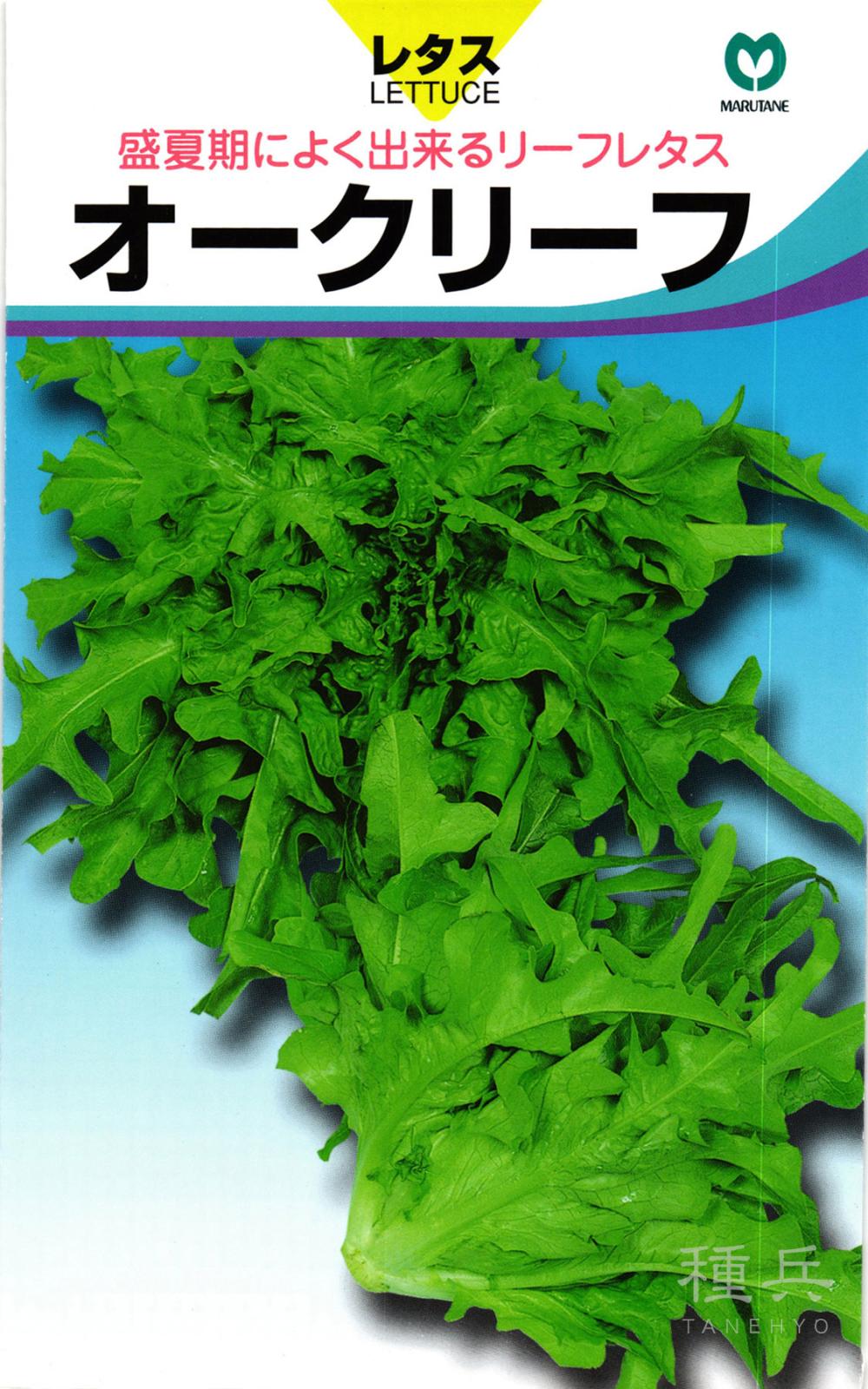 リーフレタス 種 『オークリーフ』  丸種