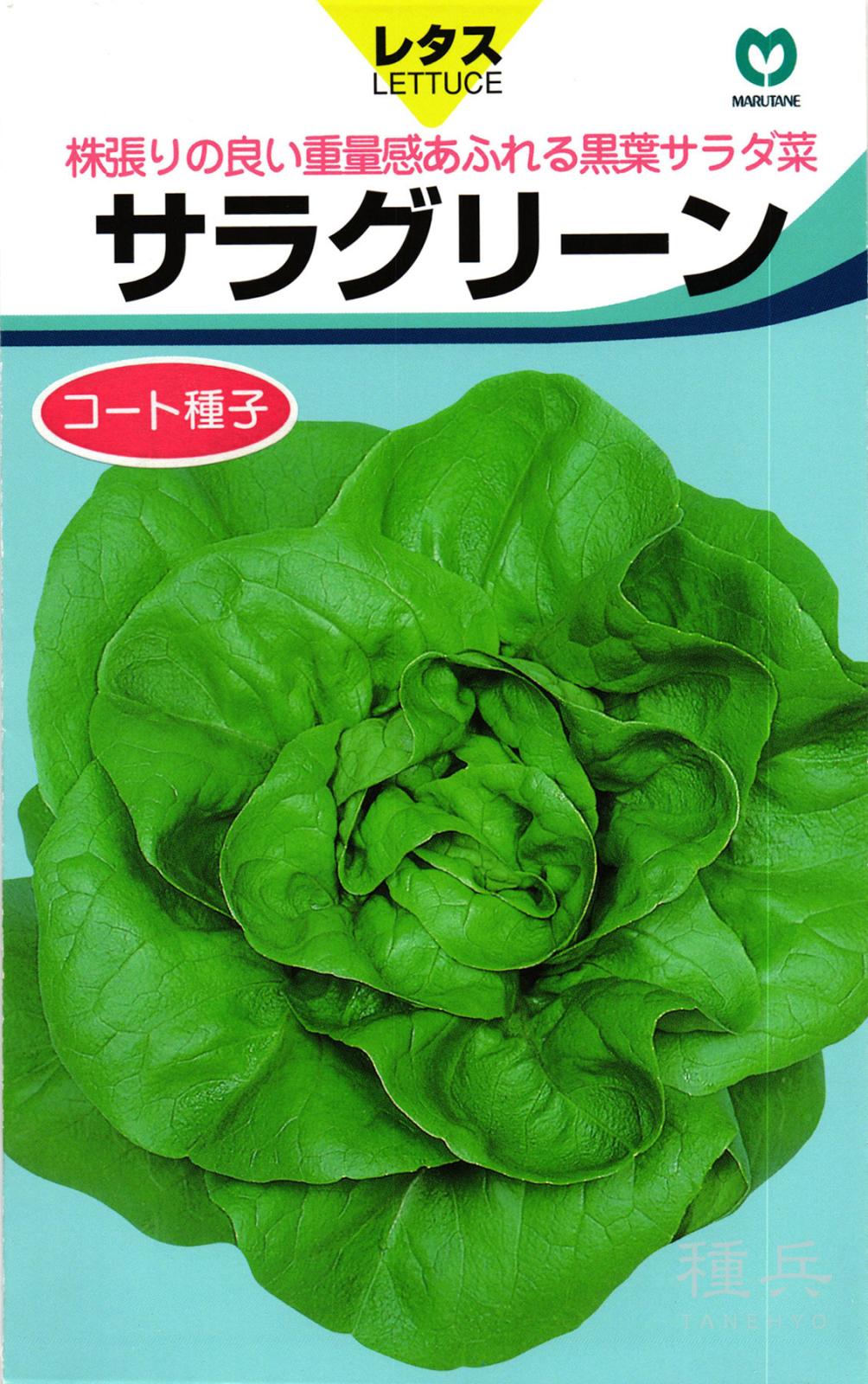 リーフレタス 種 『サラグリーン』  丸種