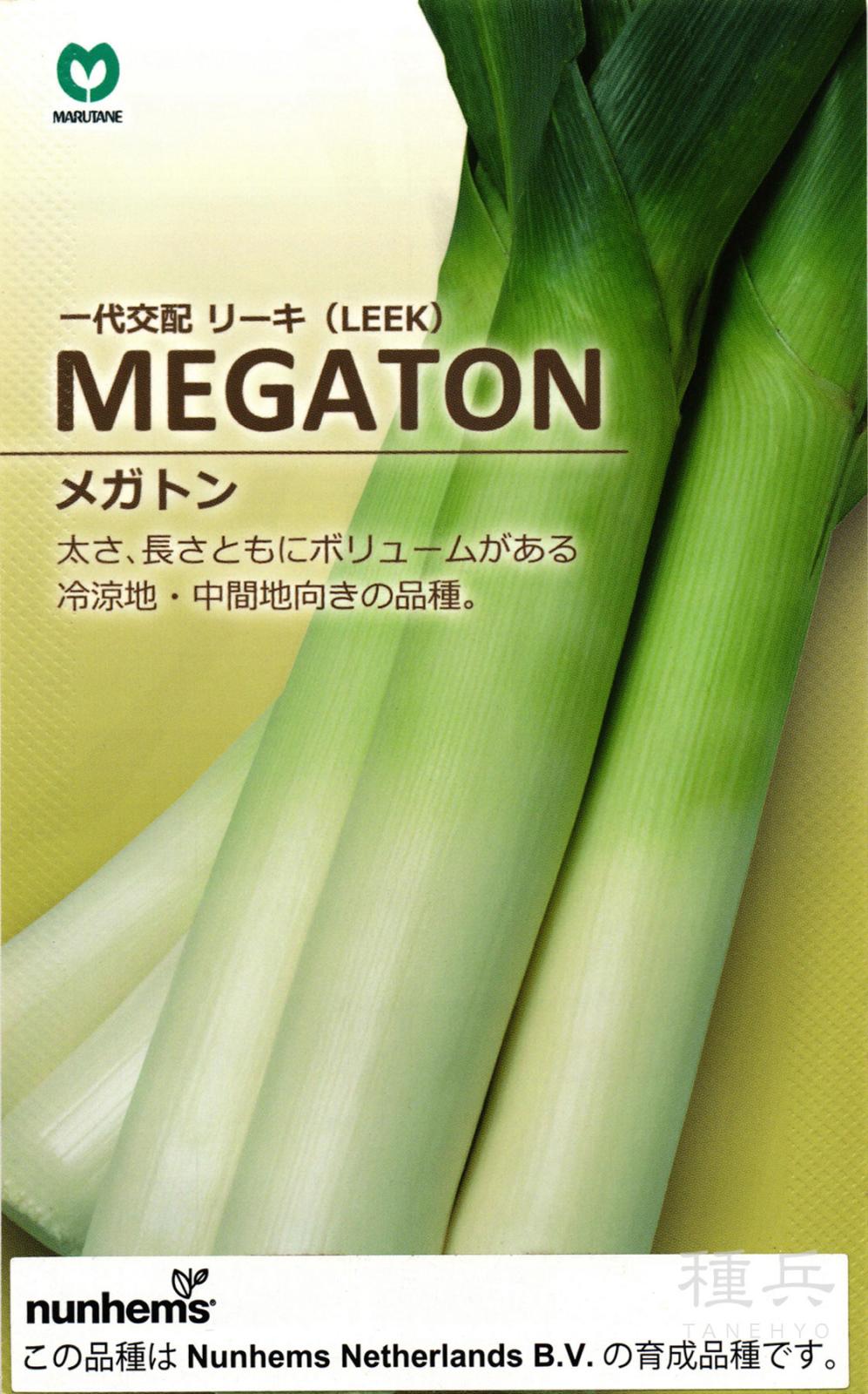 リーキ 種 『MEGATON(メガトン)』  丸種