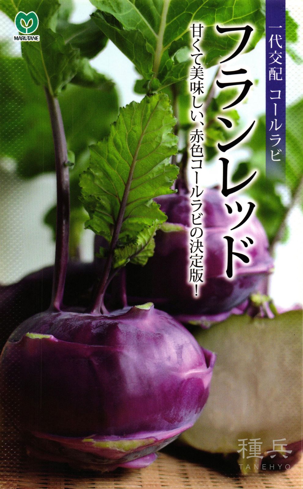 赤色コールラビ 種 『フランレッド』  丸種