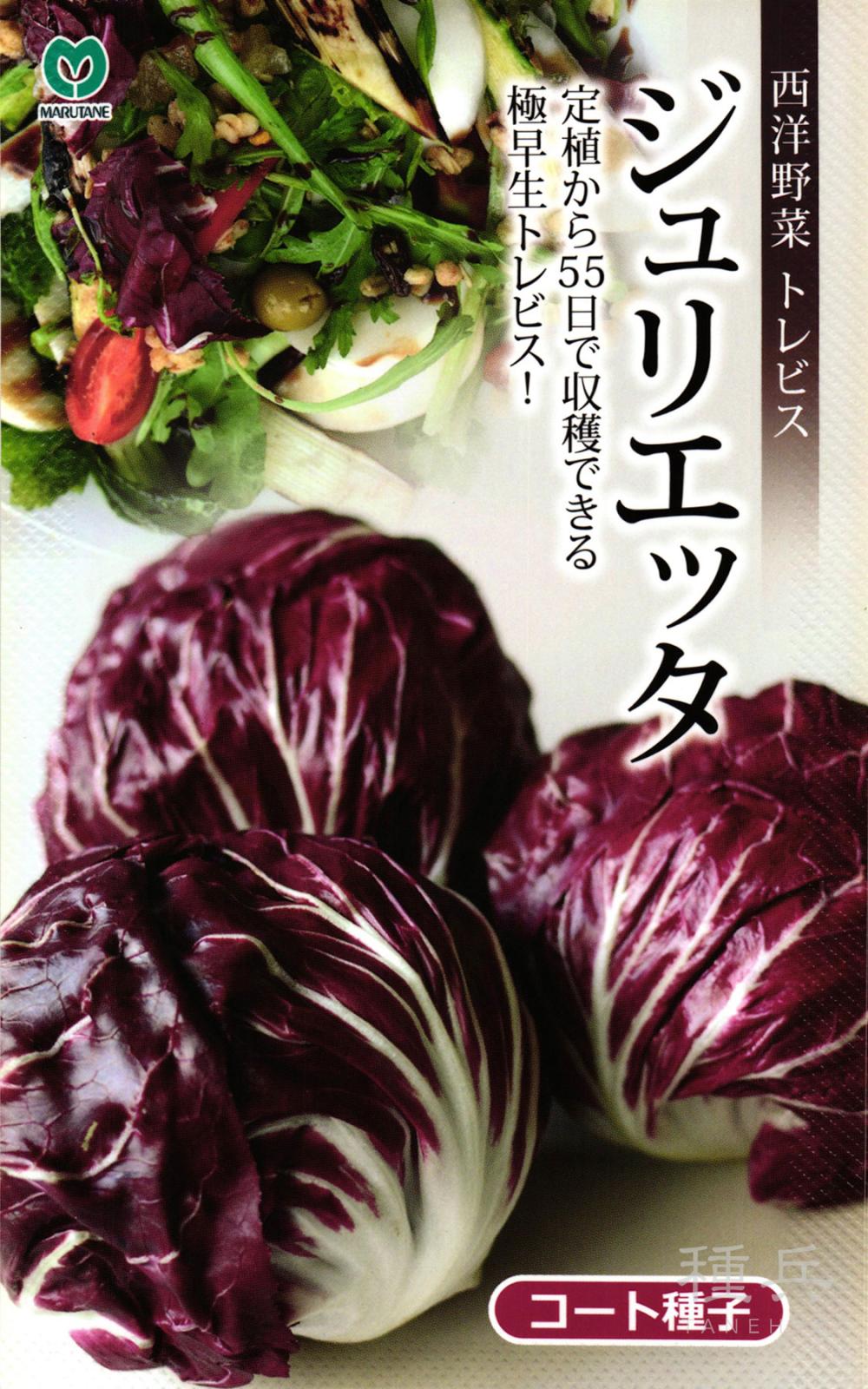 極早生トレビス 種 『ジュリエッタ』  丸種