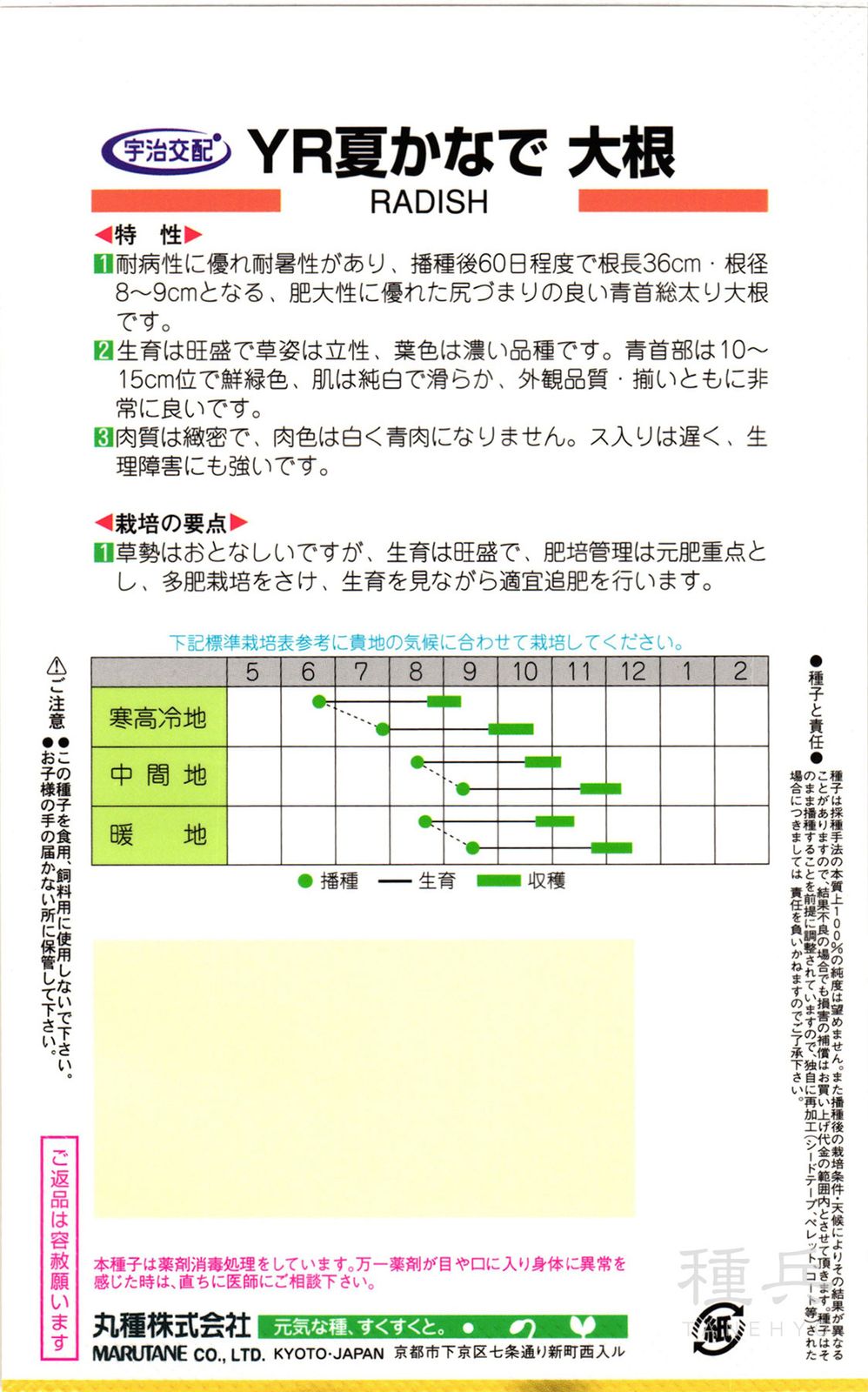 秋ダイコン 種 『YR夏かなで』 丸種 | たね,根菜の種,ダイコン