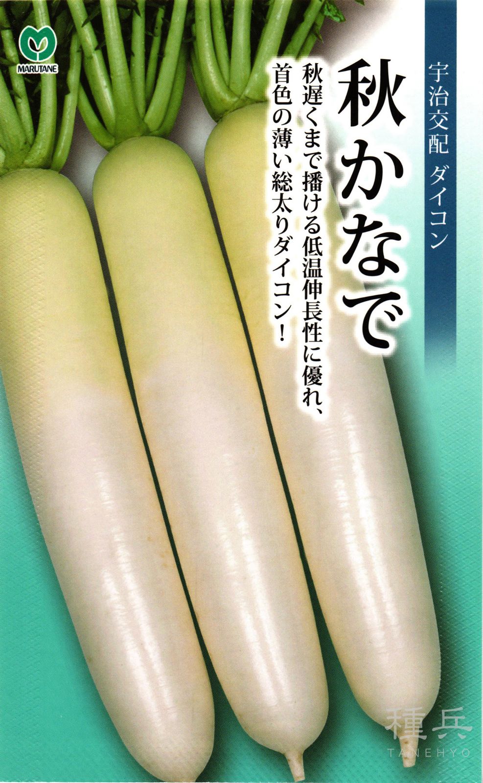 秋ダイコン 種 『秋かなで』  丸種