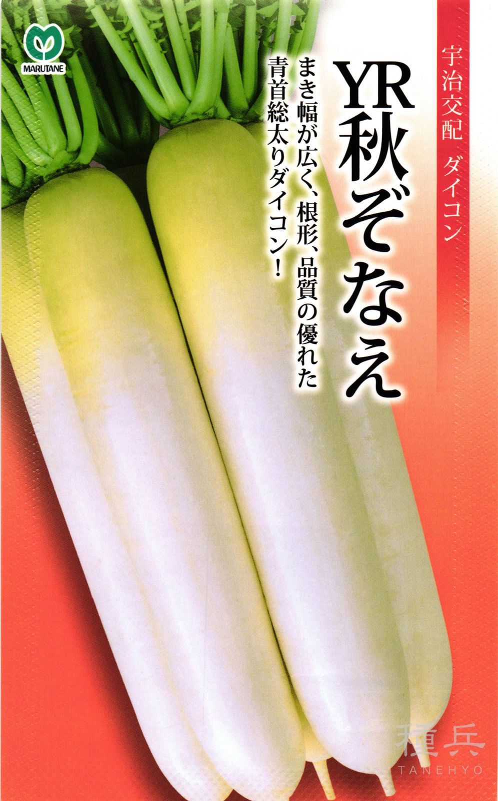 秋ダイコン 種 『YR秋ぞなえ』  丸種