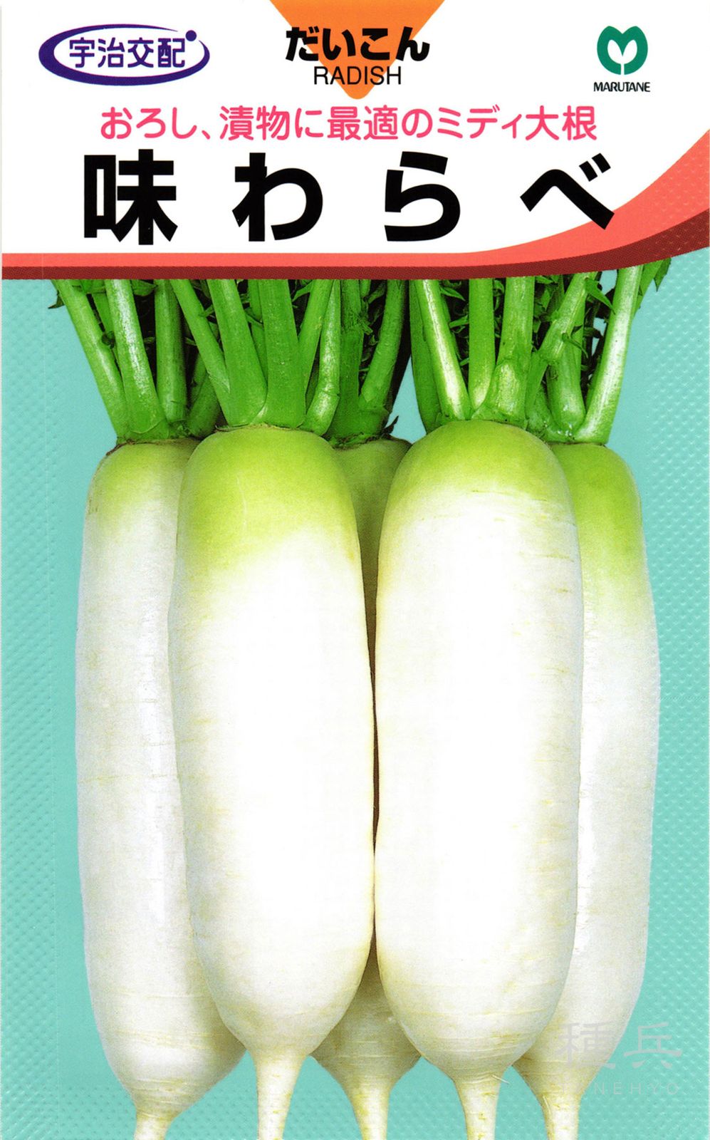 ミディ大根 種 『味わらべ』  丸種