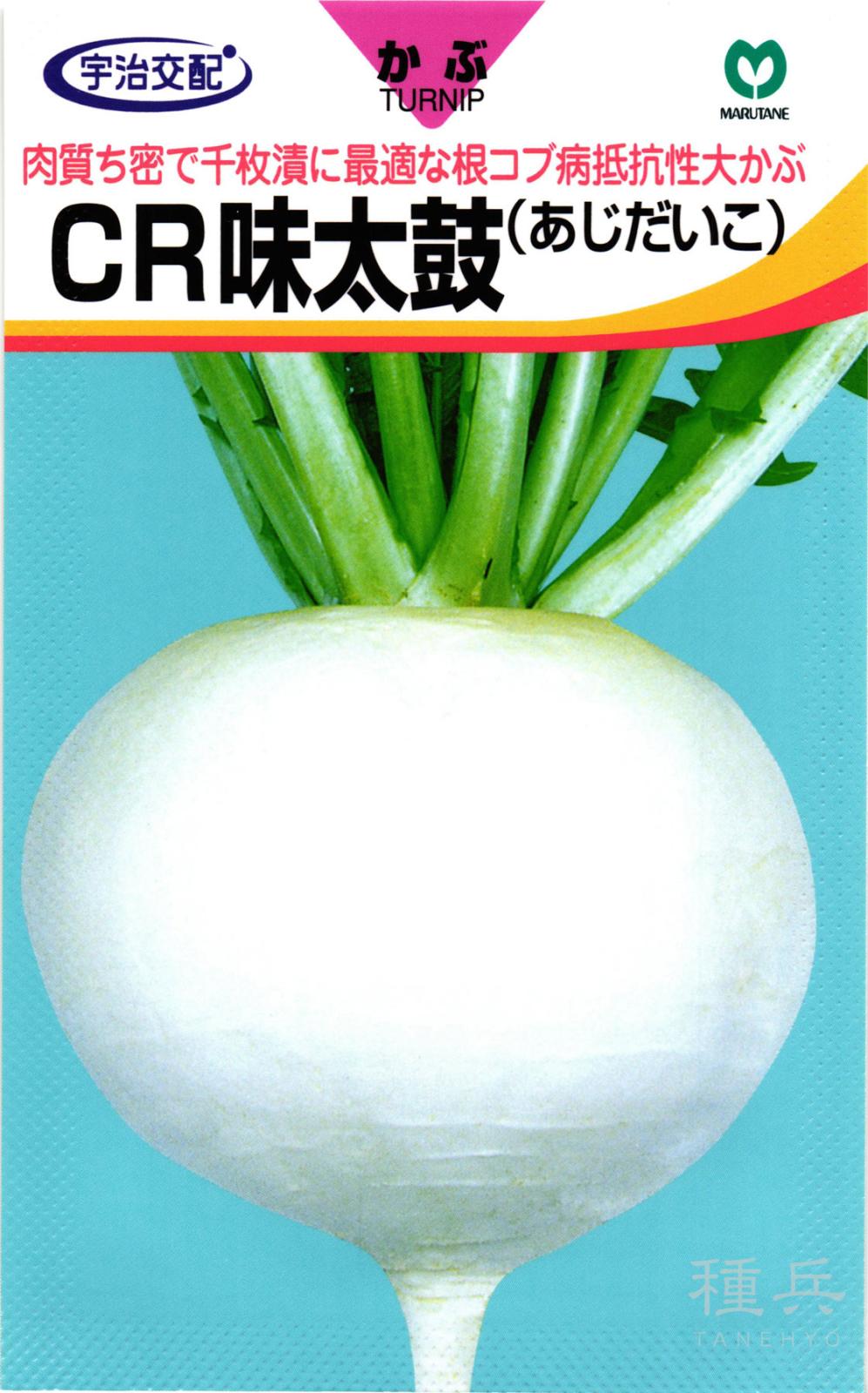 大カブ 種 『CR味太鼓』  丸種