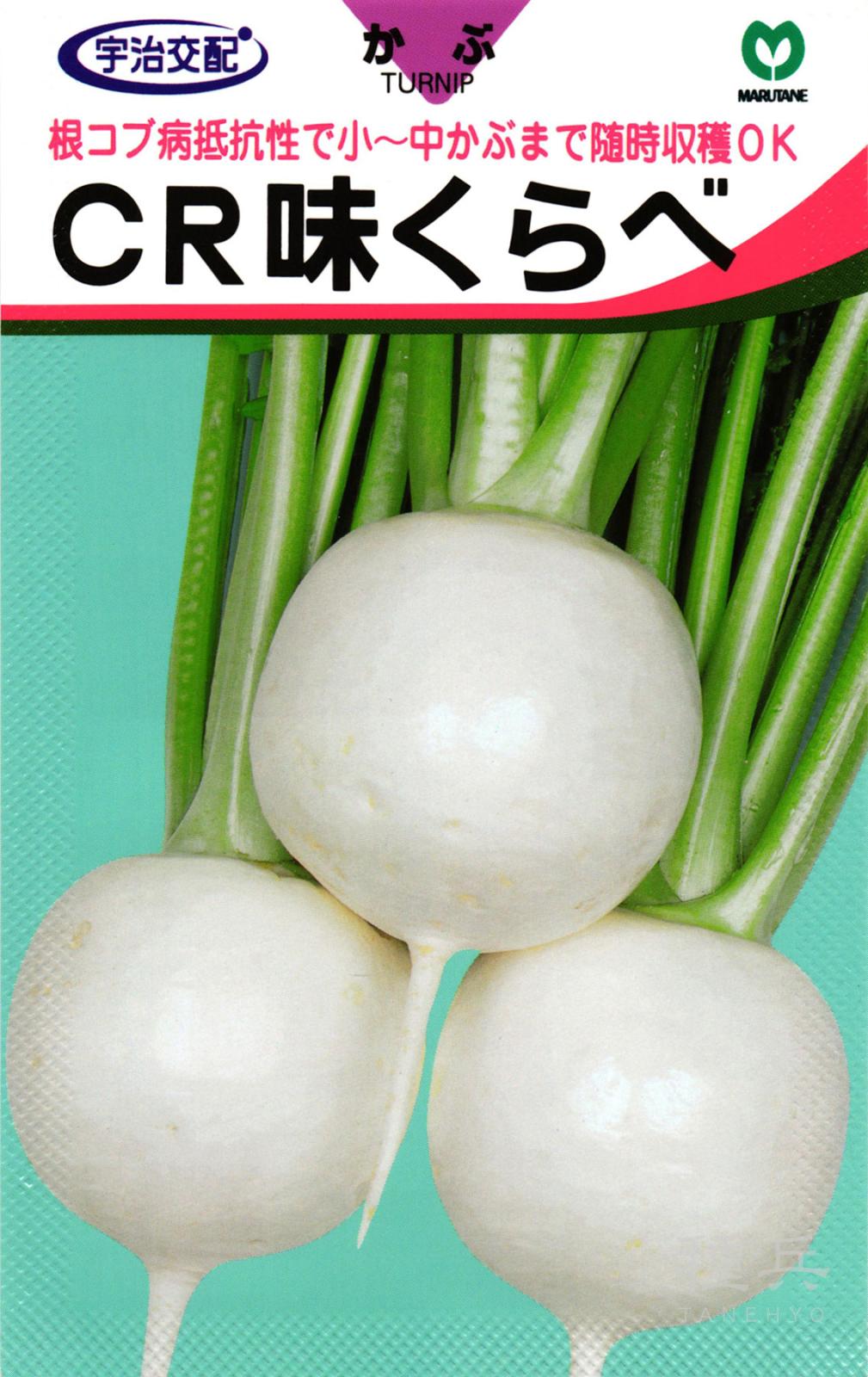 小～中カブ 種 『CR味くらべ』  丸種