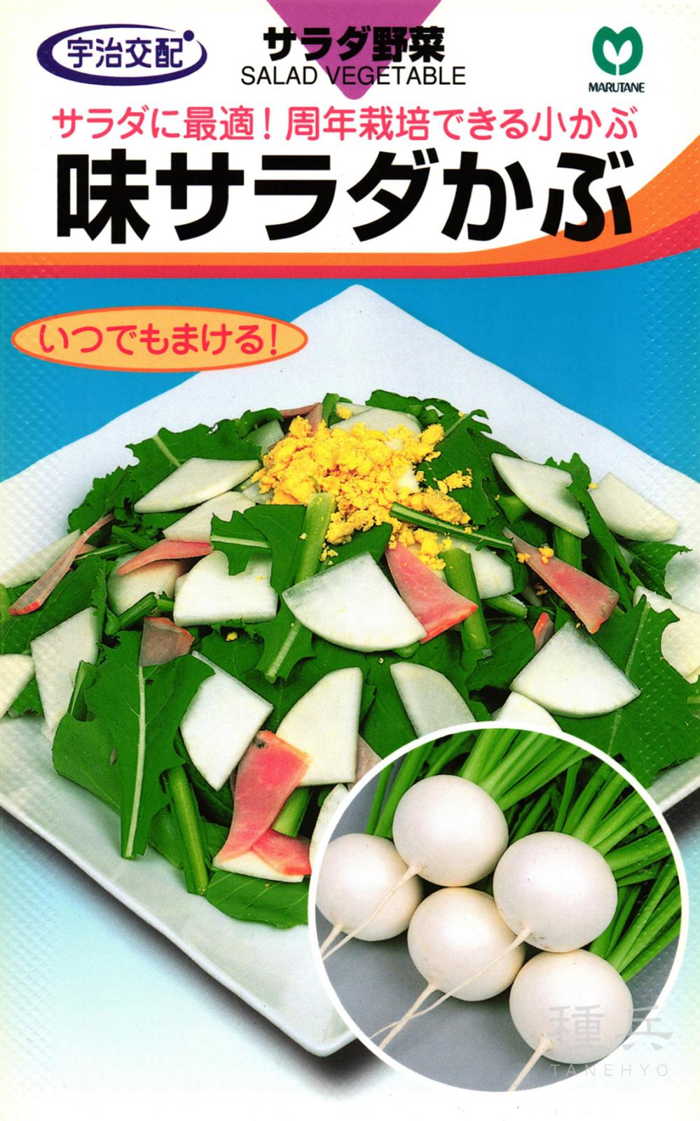 小カブ 種 『味サラダかぶ』  丸種
