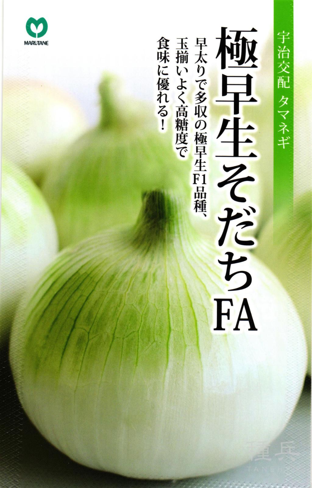 極早生タマネギ 種 『極早生そだちFA』  丸種