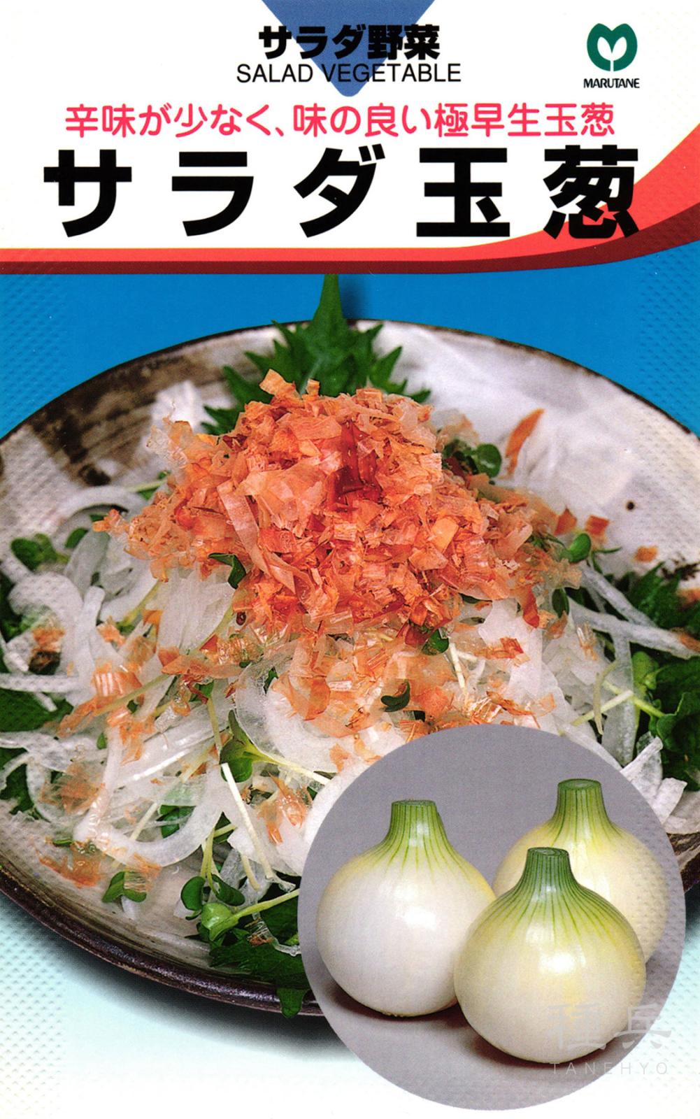 極早生タマネギ 種 『サラダ玉葱』  丸種