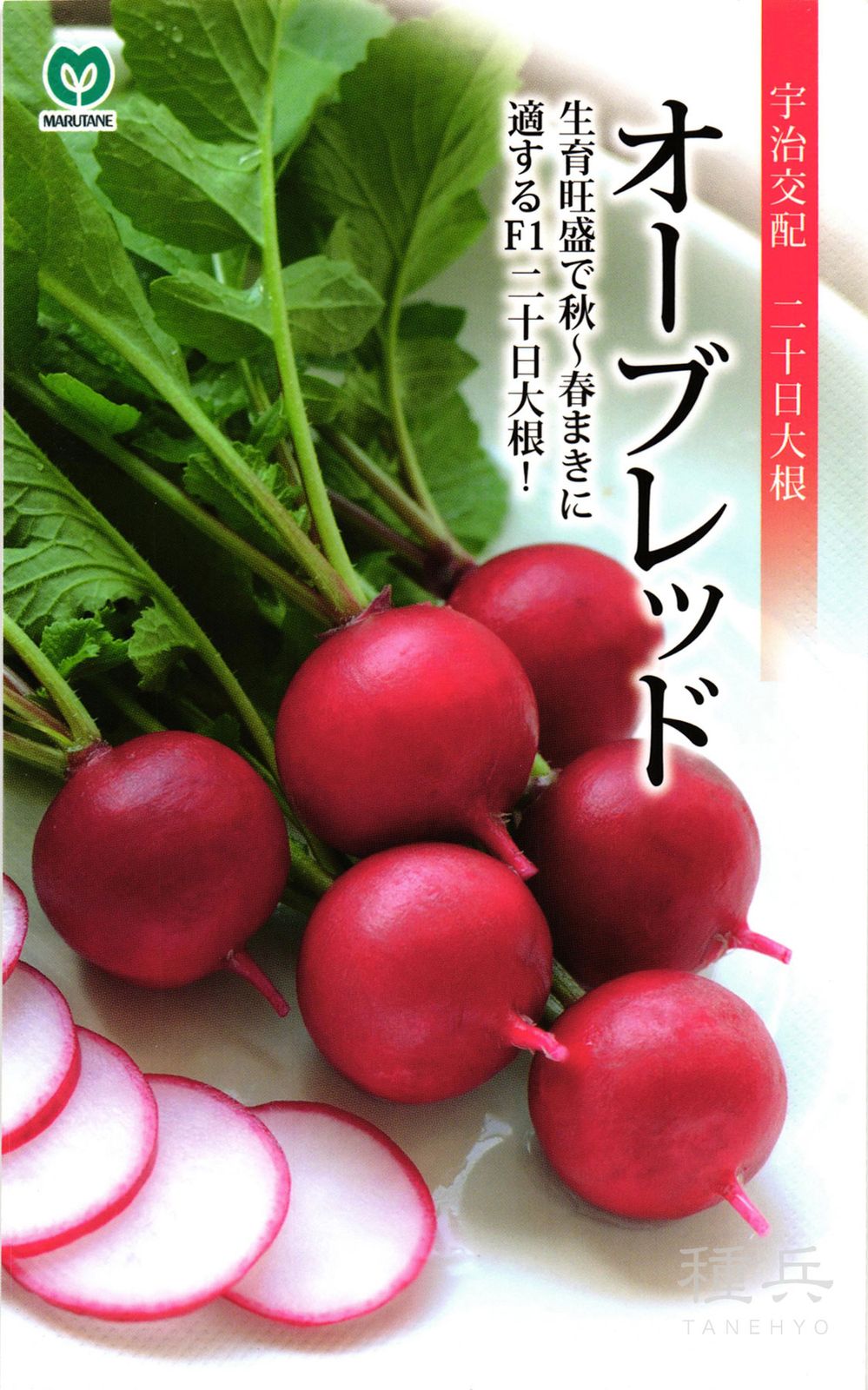 二十日ダイコン 種 『オーブレッド』  丸種