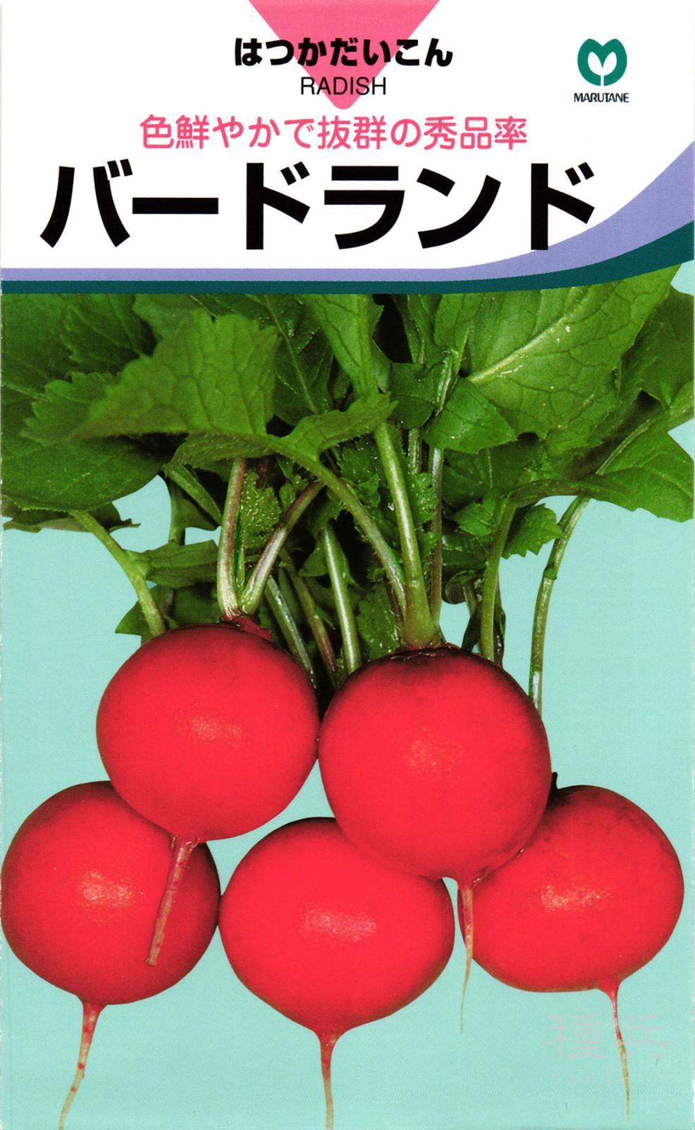 二十日ダイコン 種 『バードランド』  丸種