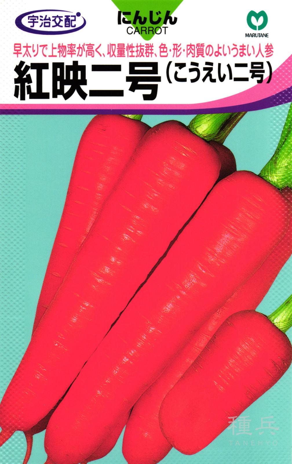 ニンジン 種 『紅映二号』  丸種