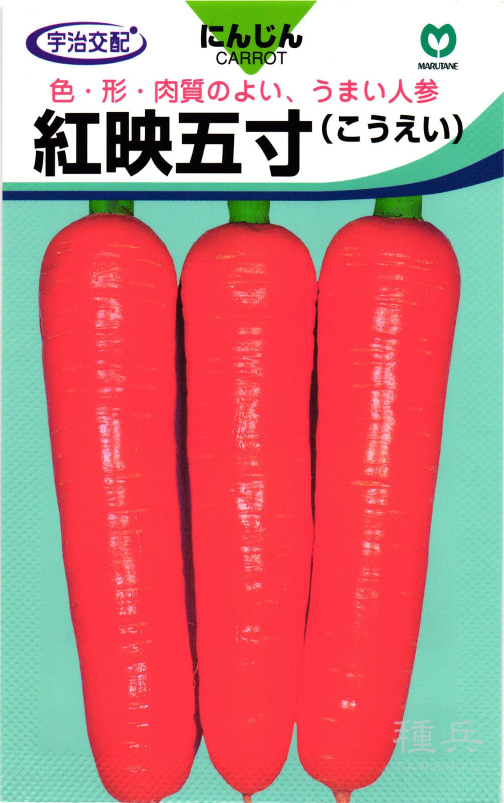 ニンジン 種 『紅映五寸』  丸種