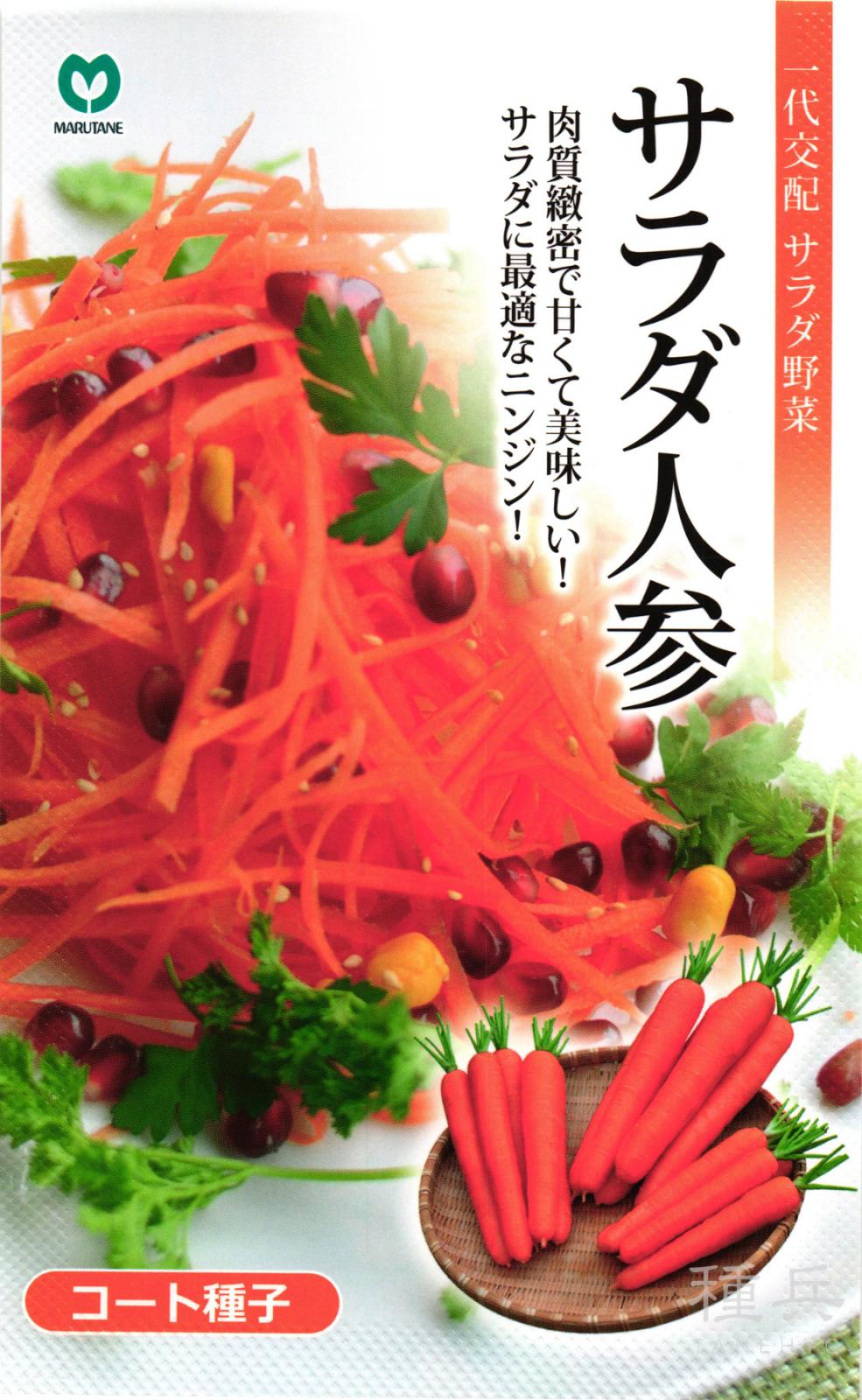 ニンジン 種 『サラダ人参』  丸種