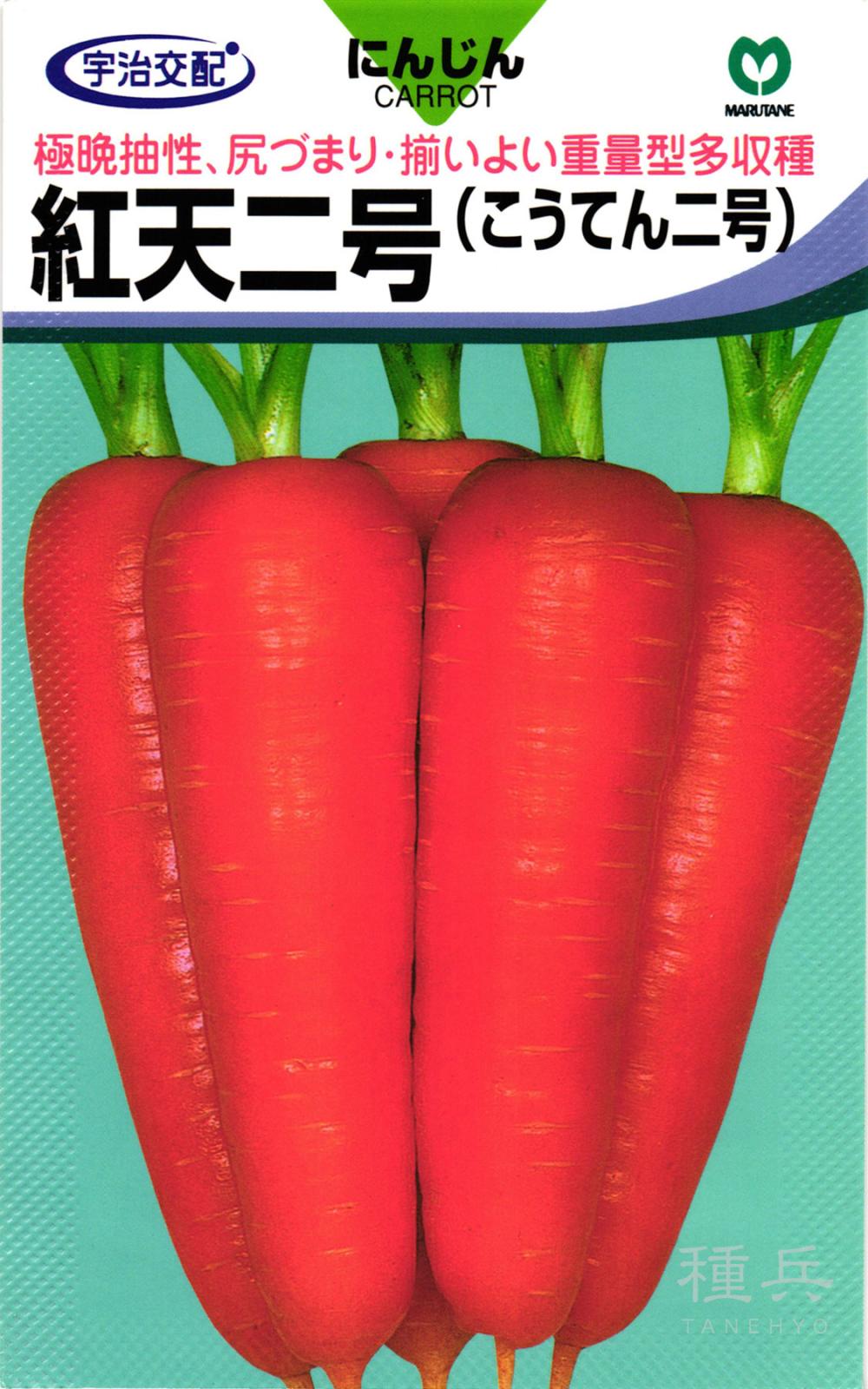 ニンジン 種 『紅天二号』  丸種