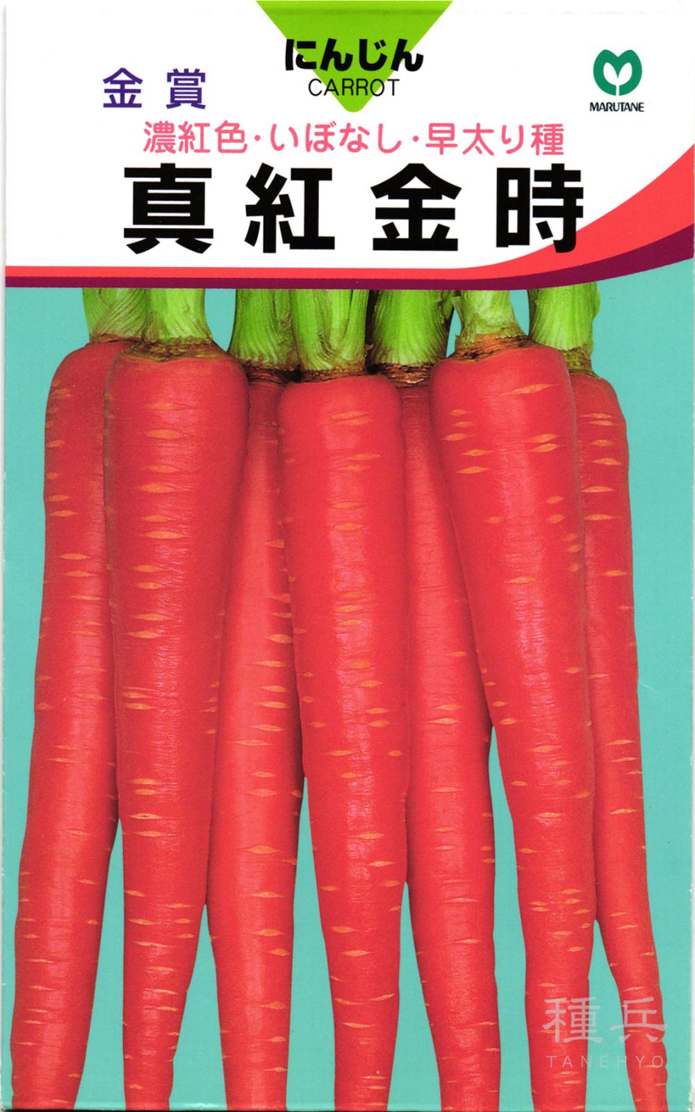 金時ニンジン 種 『真紅金時』  丸種