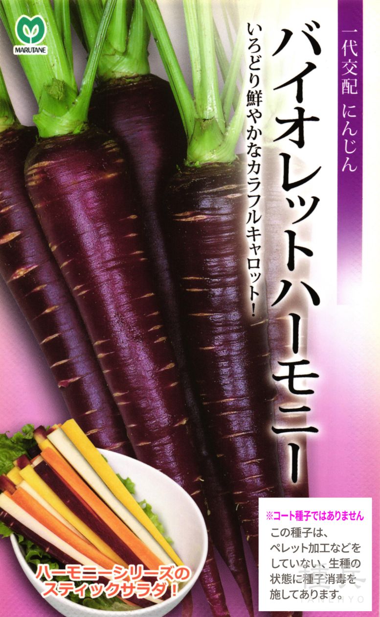 カラフルニンジン 種 『バイオレットハーモニー』  丸種