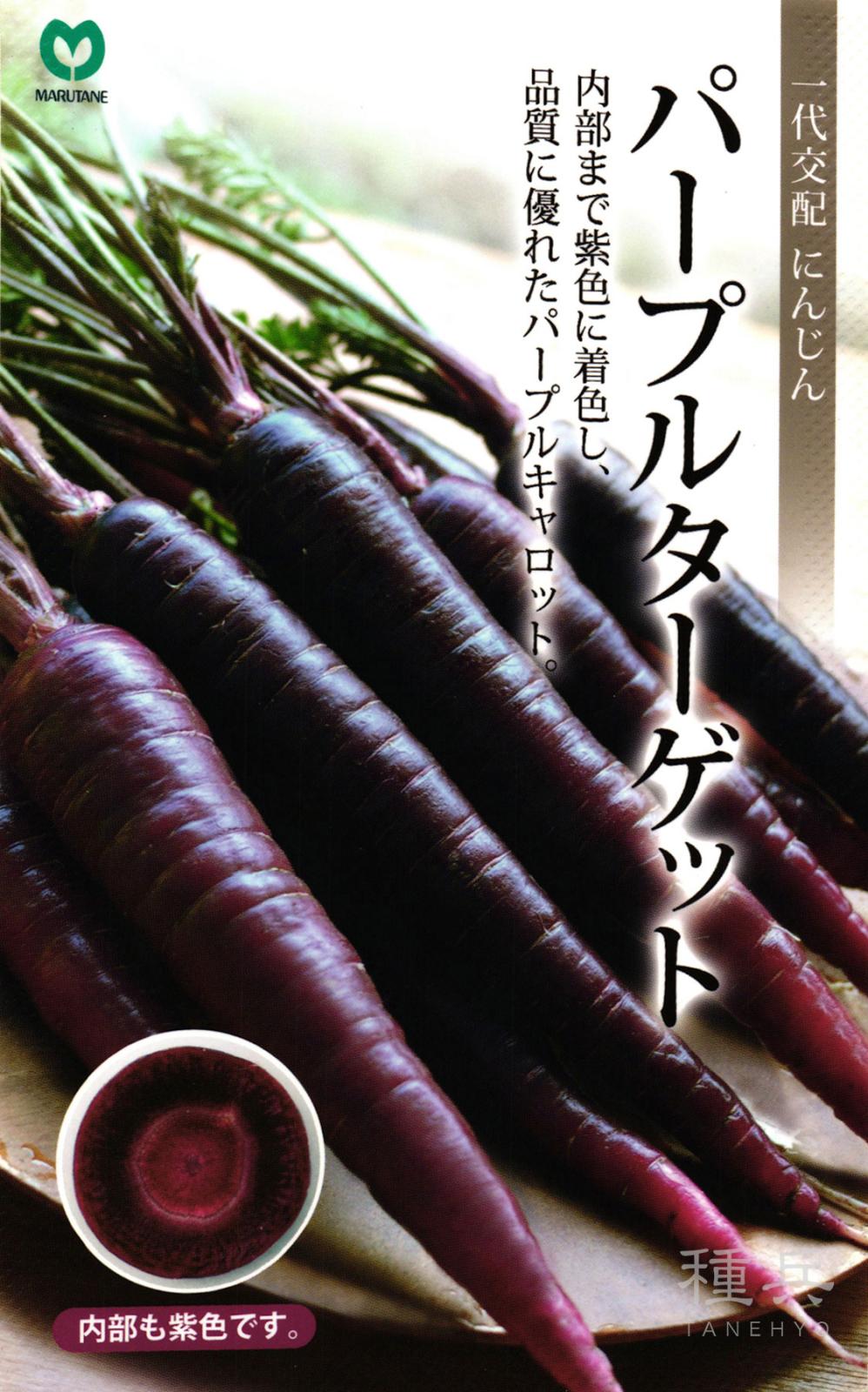 カラフルニンジン 種 『パープルターゲット』  丸種