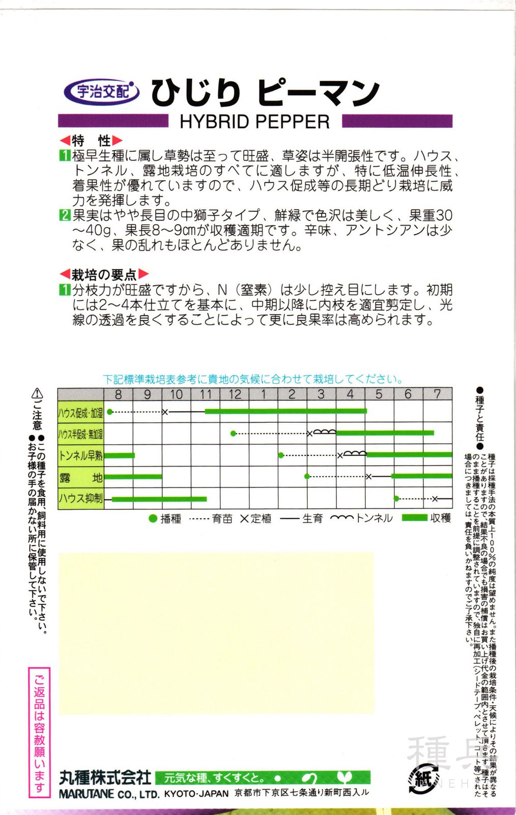 ピーマン 種 『ひじり』 丸種 | たね,果菜の種,ピーマン・トウガラシ