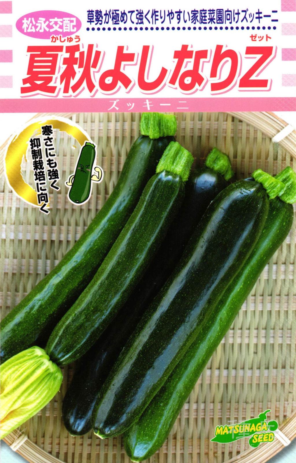 ズッキーニ 種 『夏秋よしなりZ』  松永種苗
