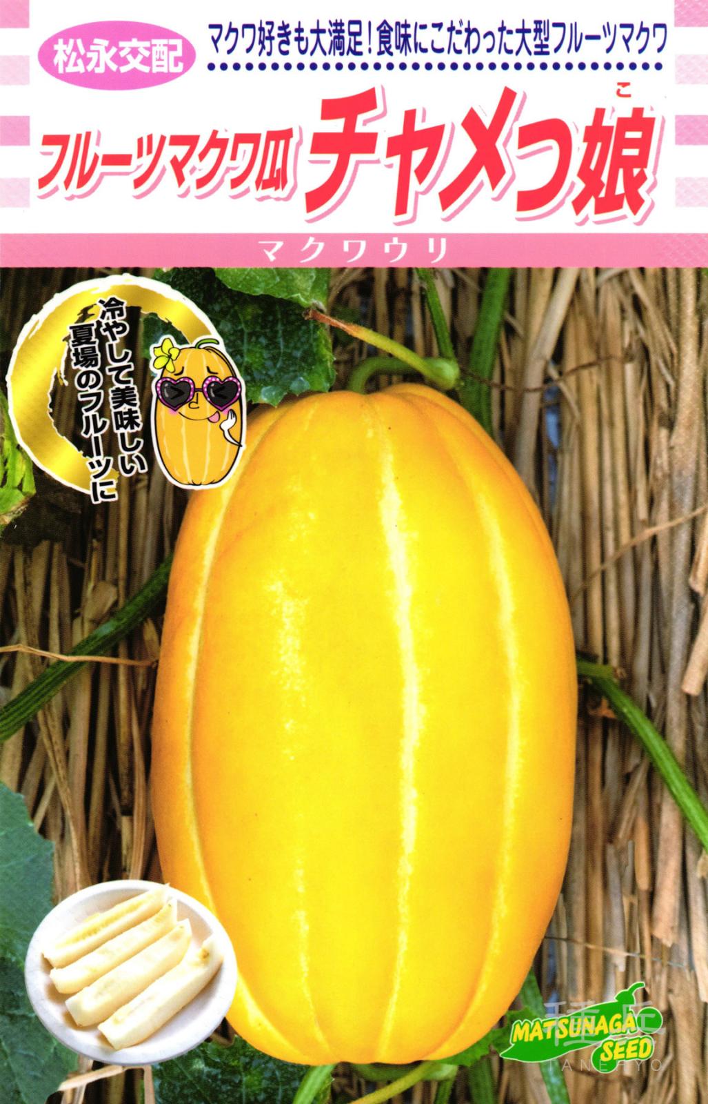 マクワウリ 種 『チャメっ娘』  松永種苗