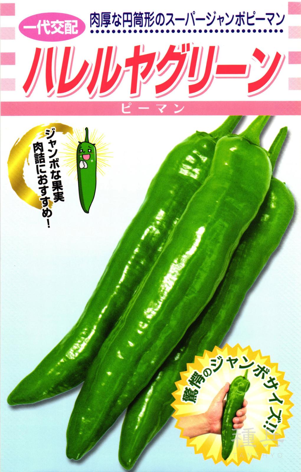 ジャンボピーマン 種 『ハレルヤグリーン』  松永種苗