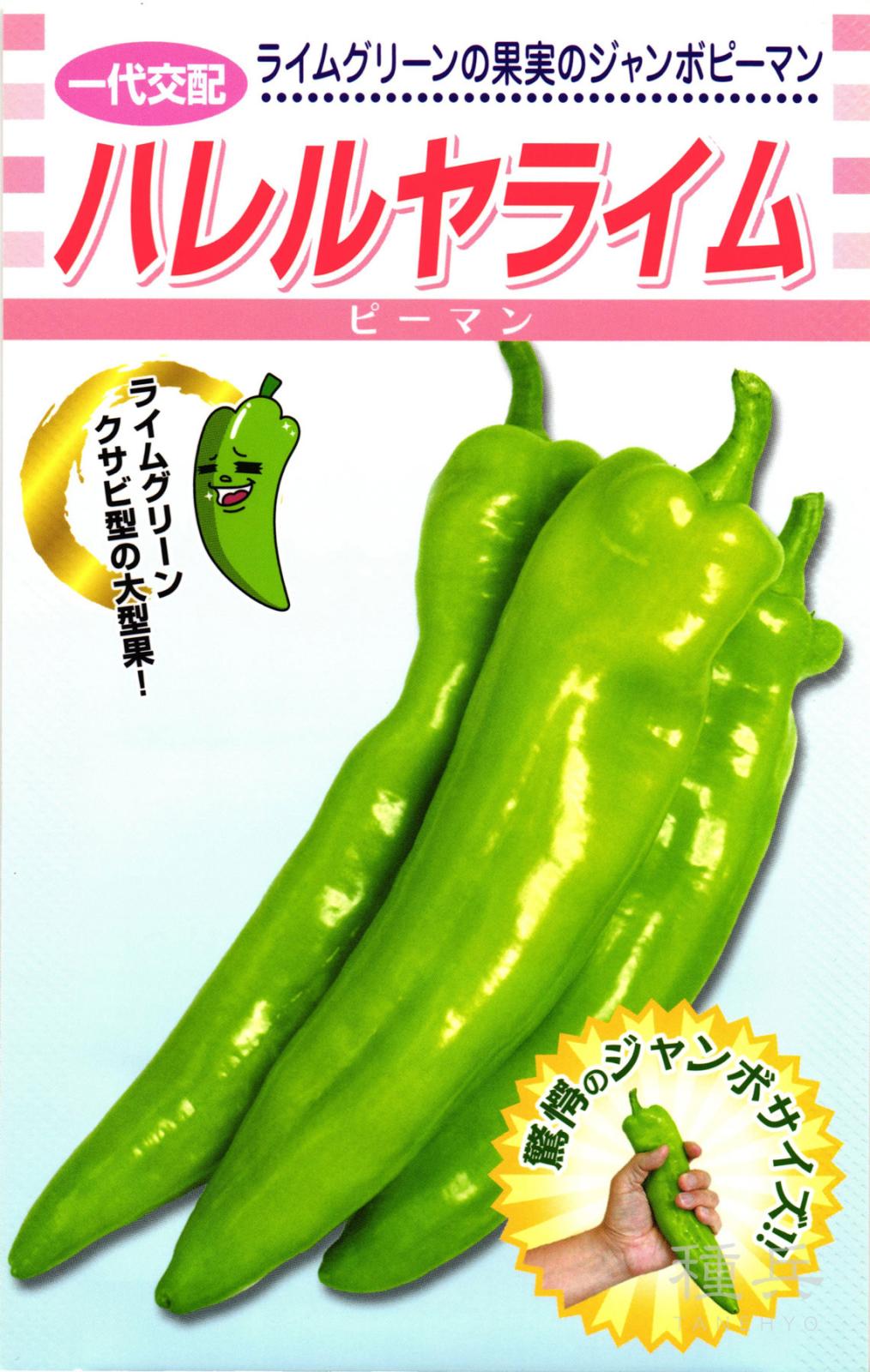 ジャンボピーマン 種 『ハレルヤライム』  松永種苗