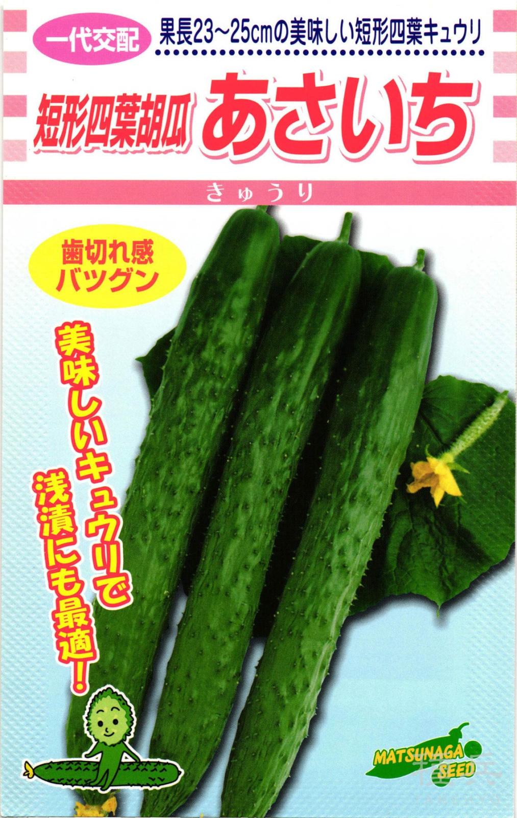四葉キュウリ 種 『あさいち』  松永種苗