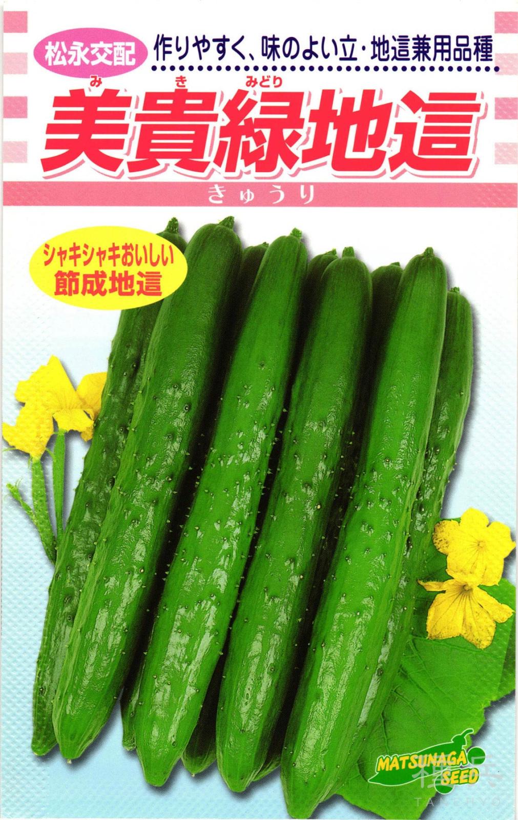 地ばいキュウリ 種 『美貴緑地這』  松永種苗