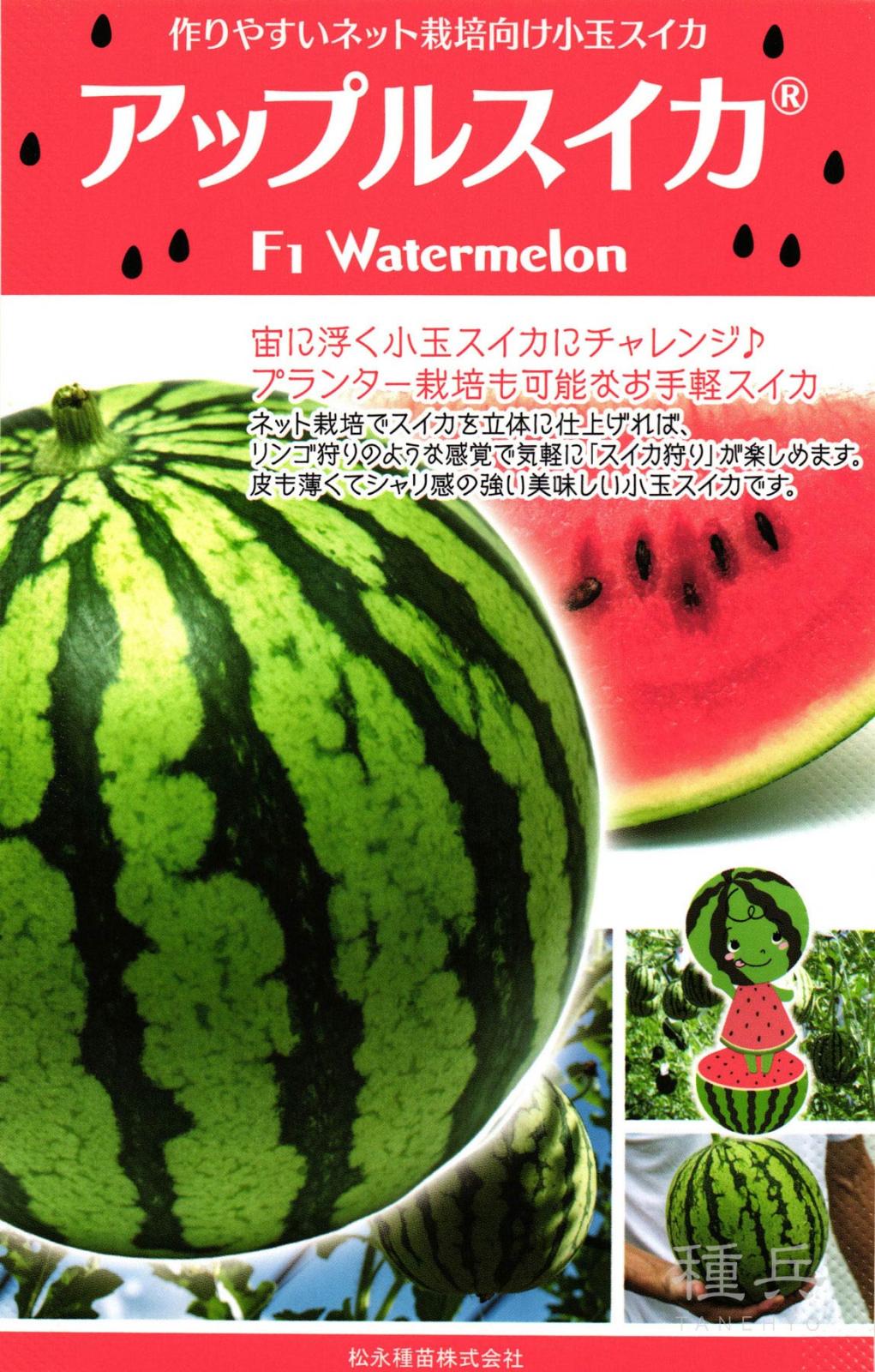 小玉スイカ 種 『アップルスイカ』  松永種苗
