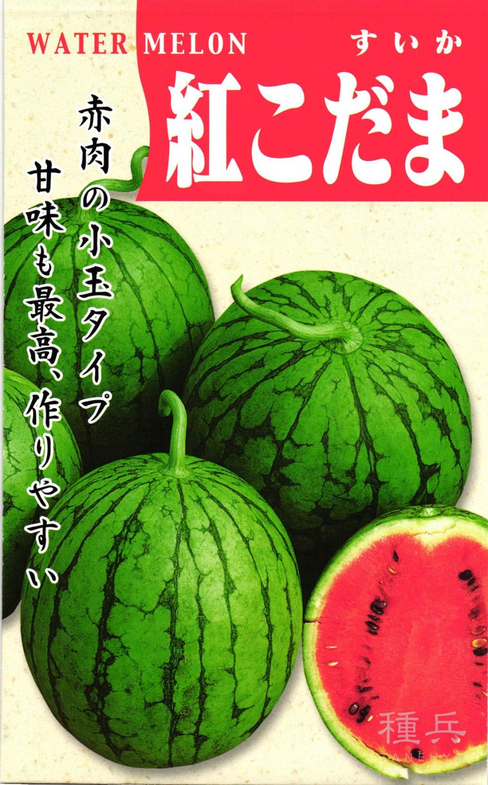 小玉スイカ 種 『紅こだま西瓜』  松永種苗