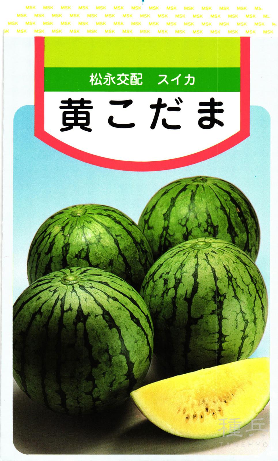小玉スイカ 種 『黄こだま西瓜』  松永種苗
