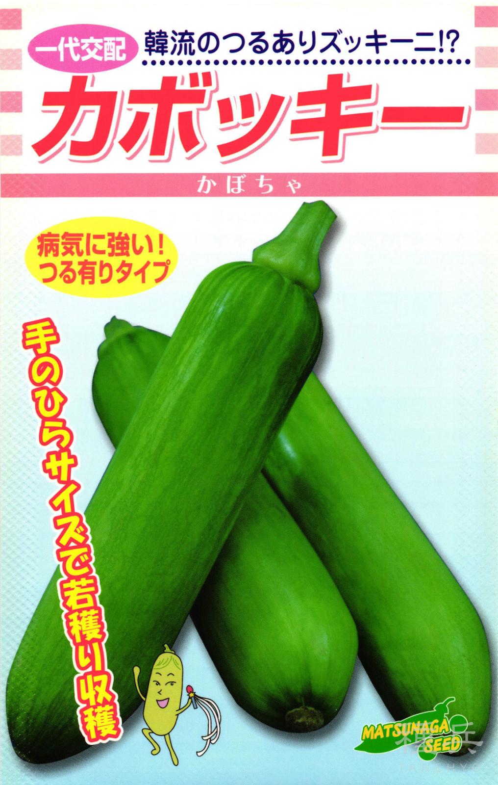 韓国カボチャ 種 『カボッキー南瓜』  松永種苗