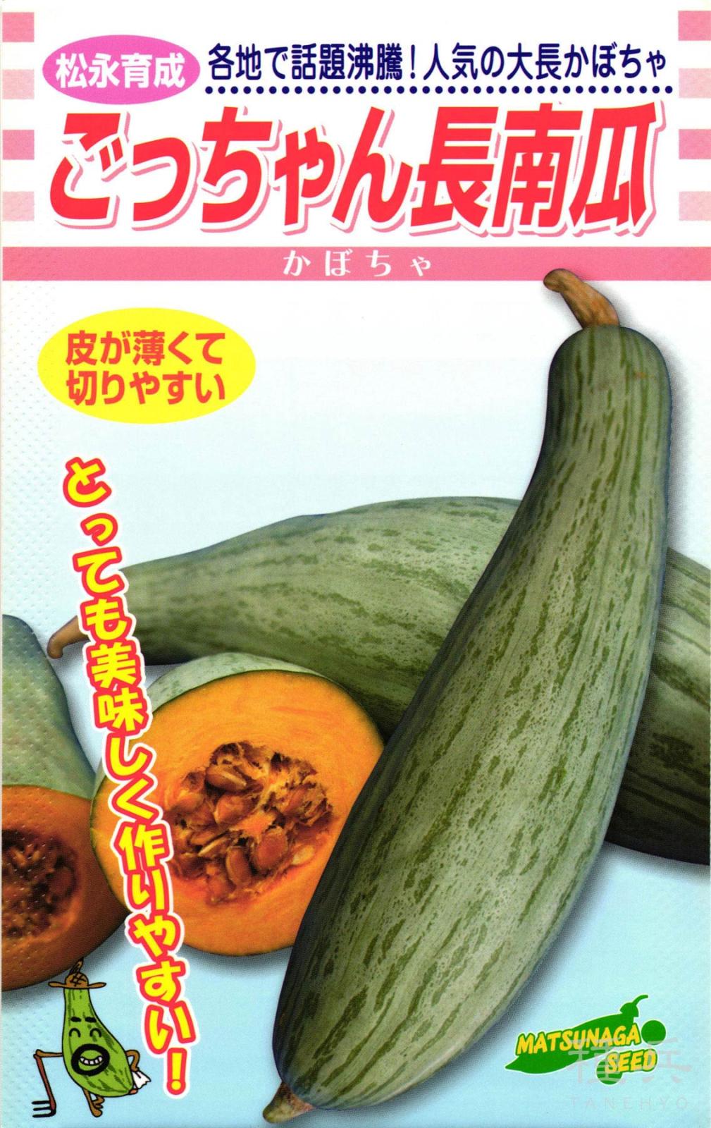 大長カボチャ 種 『ごっちゃん長南瓜』  松永種苗