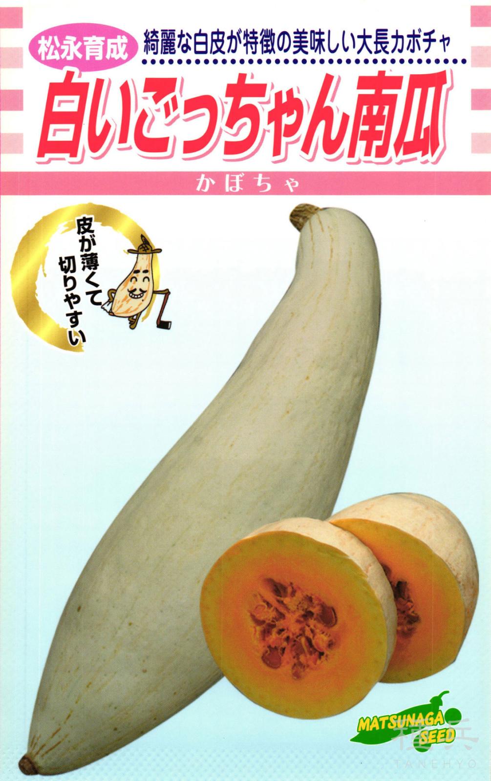 白大長カボチャ 種 『白いごっちゃん南瓜』  松永種苗