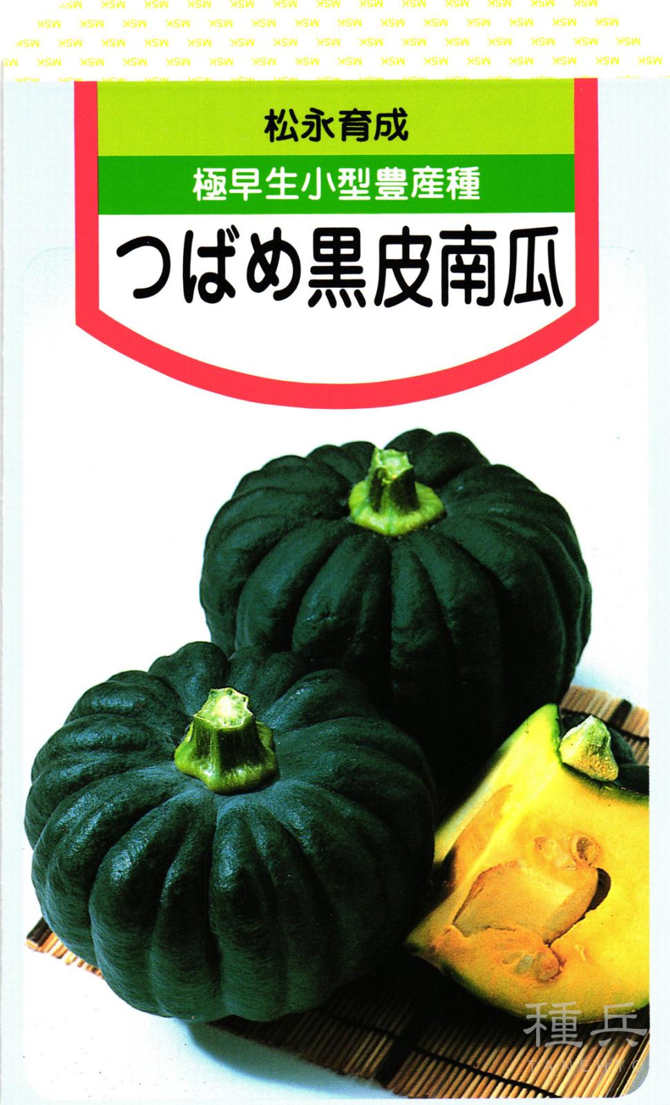 日本カボチャ 種 『極早生つばめ』  松永種苗