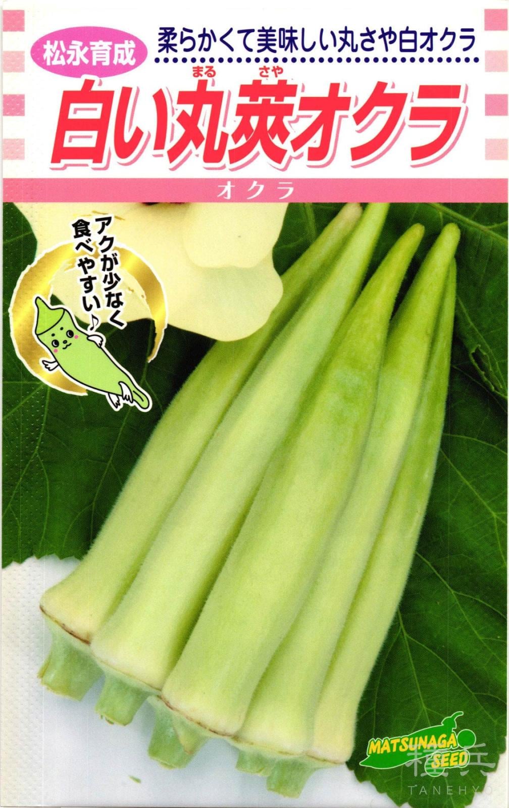 白丸莢オクラ 種 『白い丸英オクラ』  松永種苗