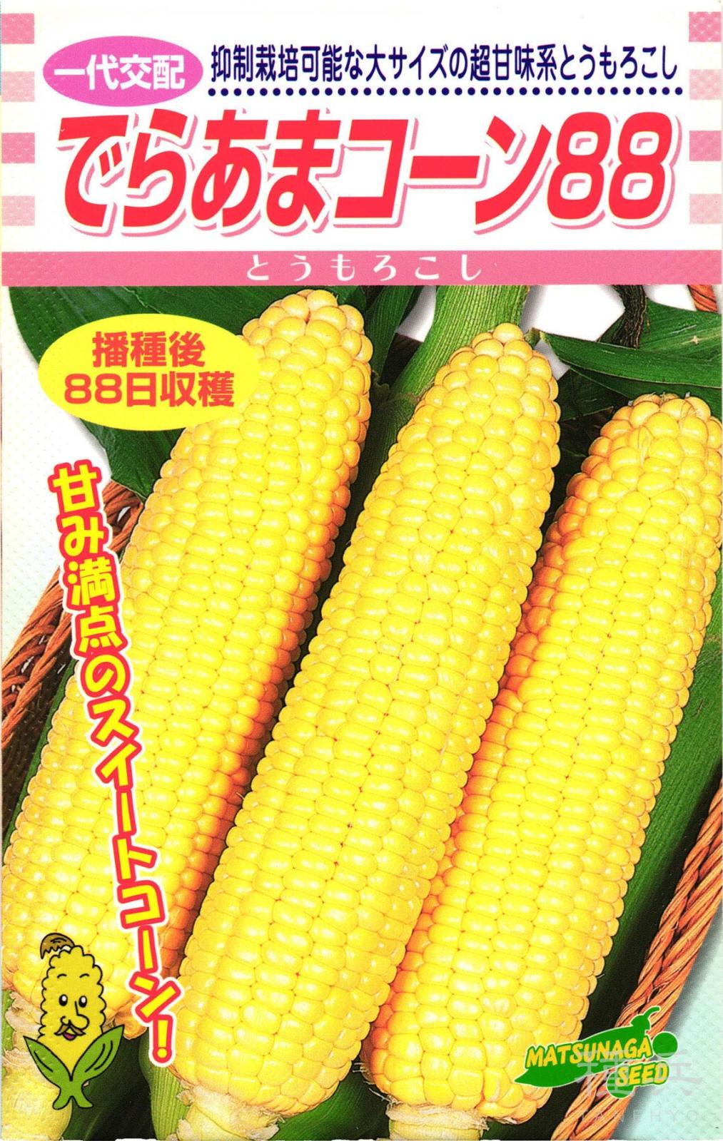 スイートコーン 種 『でらあまコーン88』  松永種苗