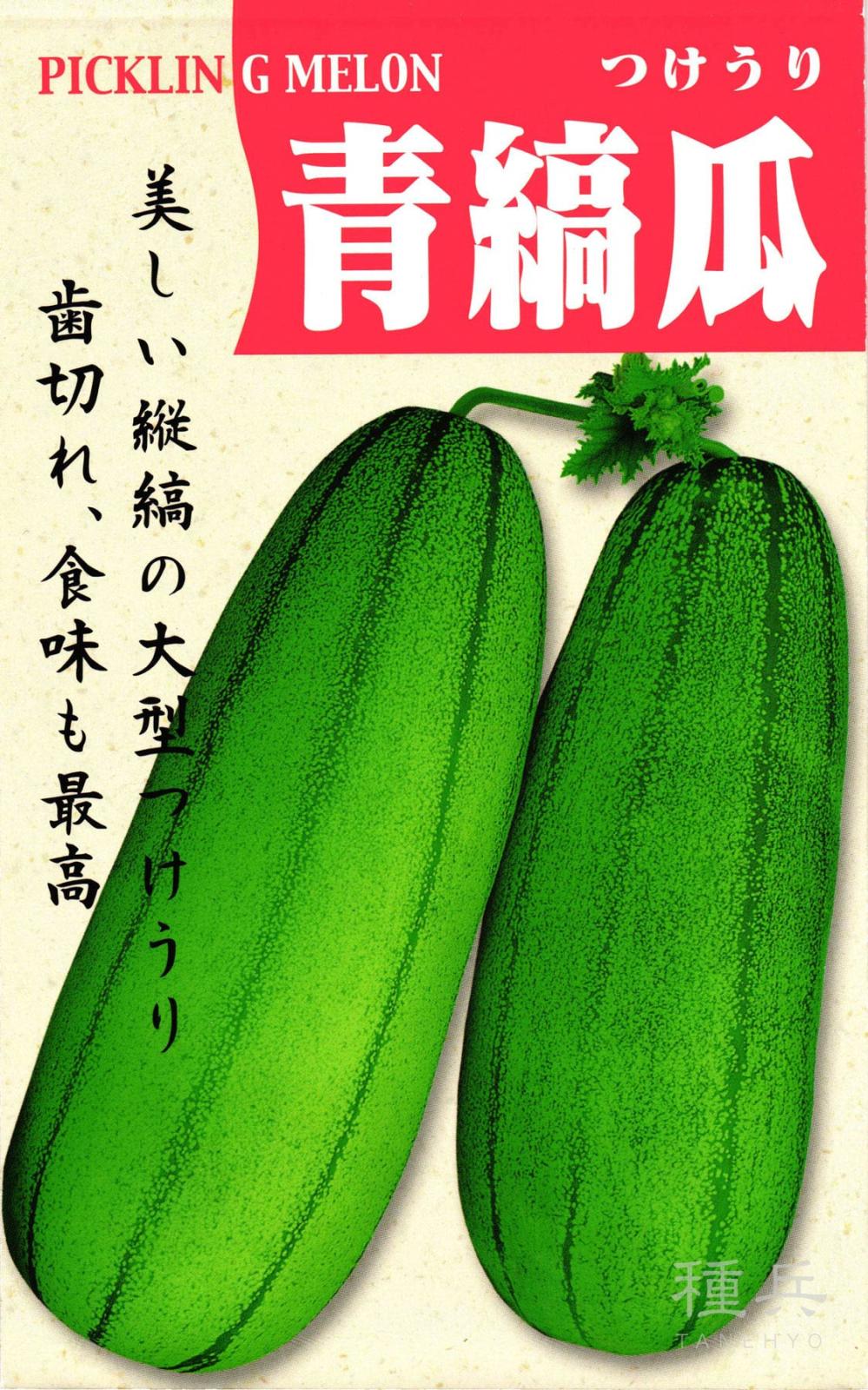 ツケウリ 種 『青大縞瓜』  松永種苗