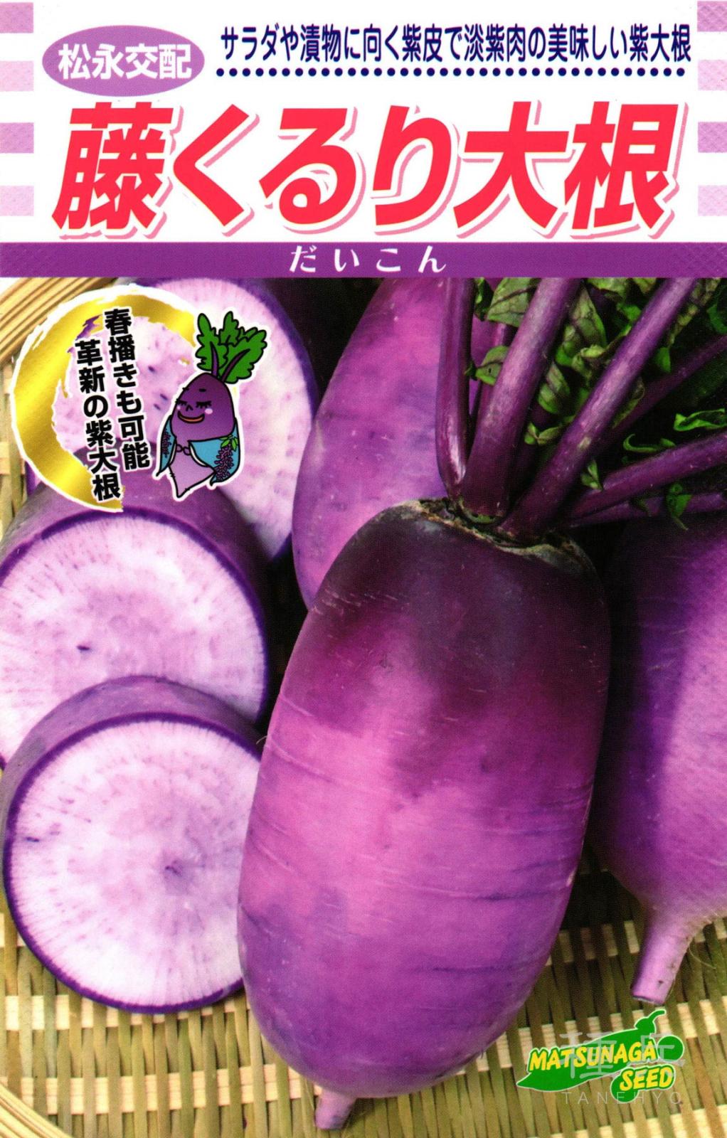 紫ダイコン 種 『藤くるり大根』  松永種苗