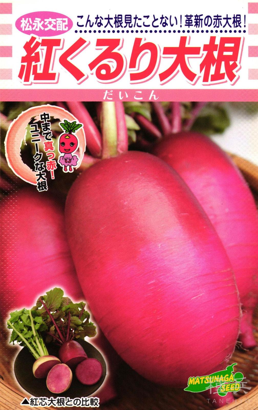 赤ダイコン 種 『紅くるり大根』 松永種苗 | たね,根菜の種,ダイコン