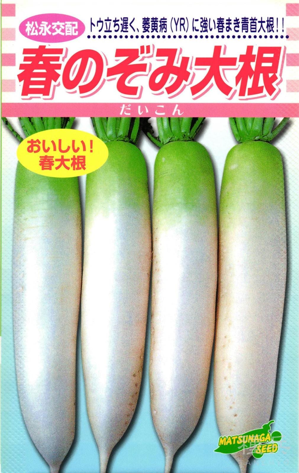 春ダイコン 種 『春のぞみ大根』  松永種苗