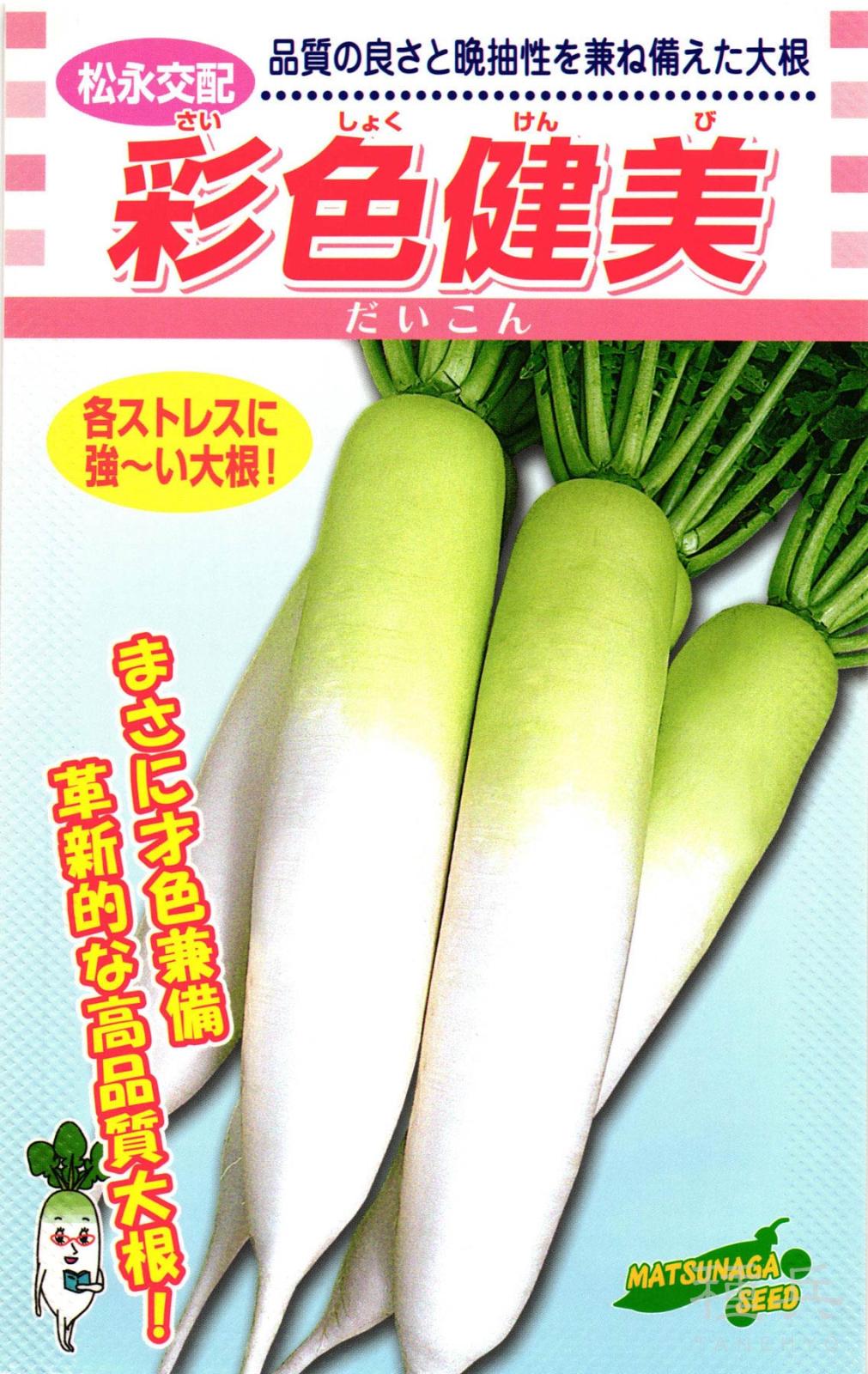 ダイコン 種 『彩色健美』  松永種苗